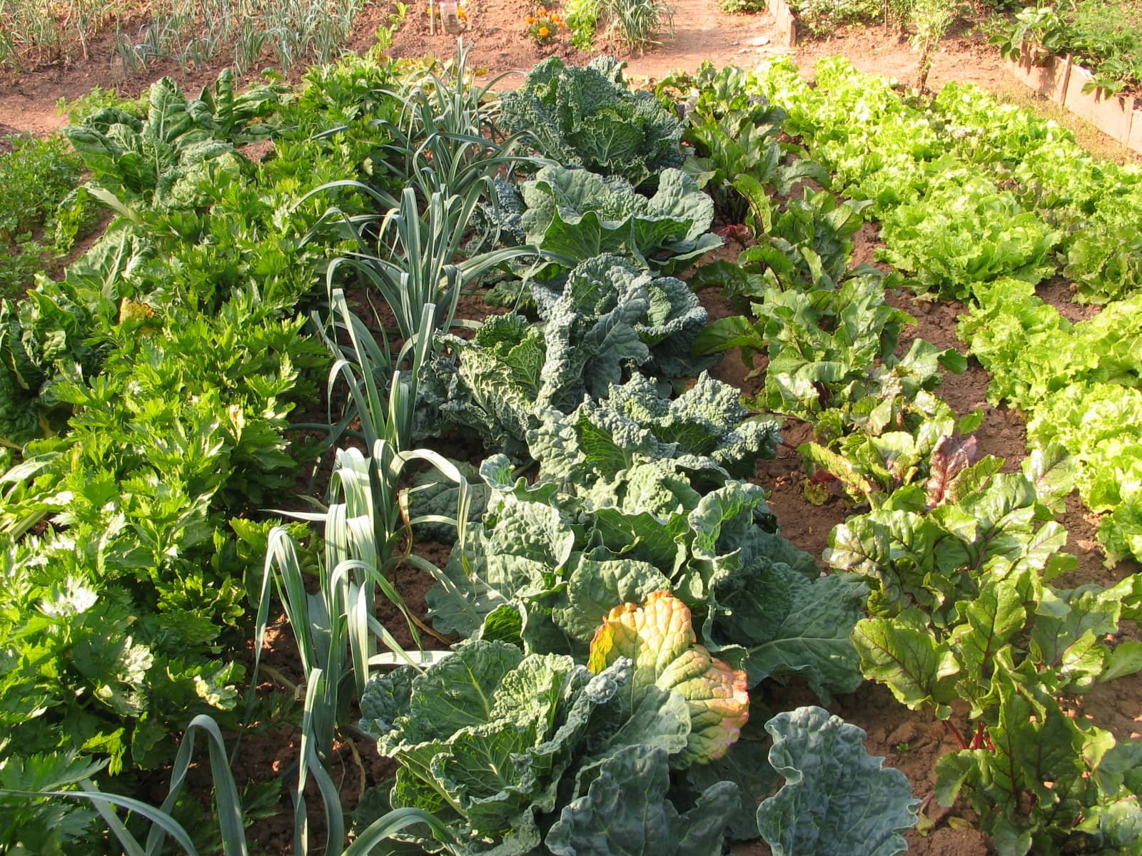 Jardinez avec la lune