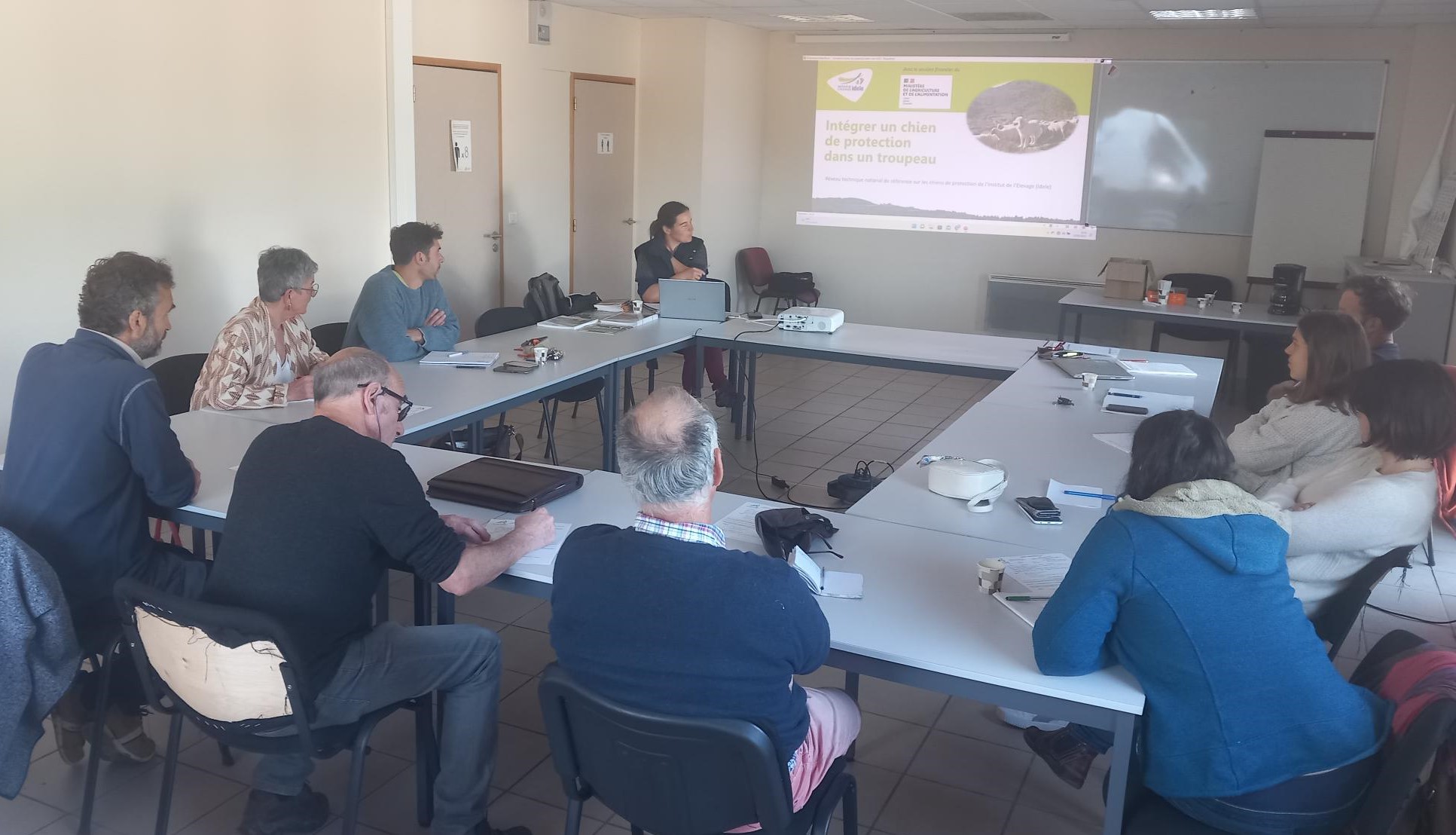 Protection des troupeaux&nbsp;: une formation pour les éleveurs