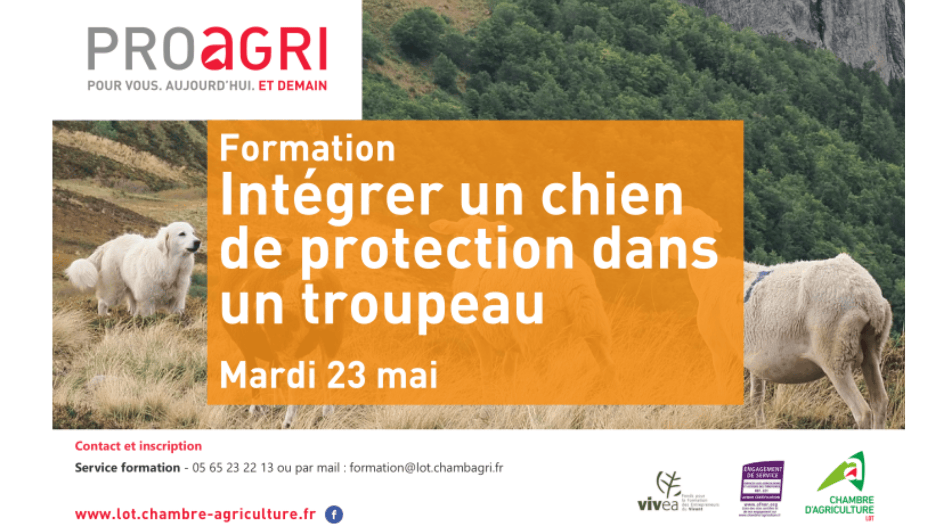 Formation&nbsp;: Intégrer un chien de protection dans un troupeau – Le mardi 23 mai.