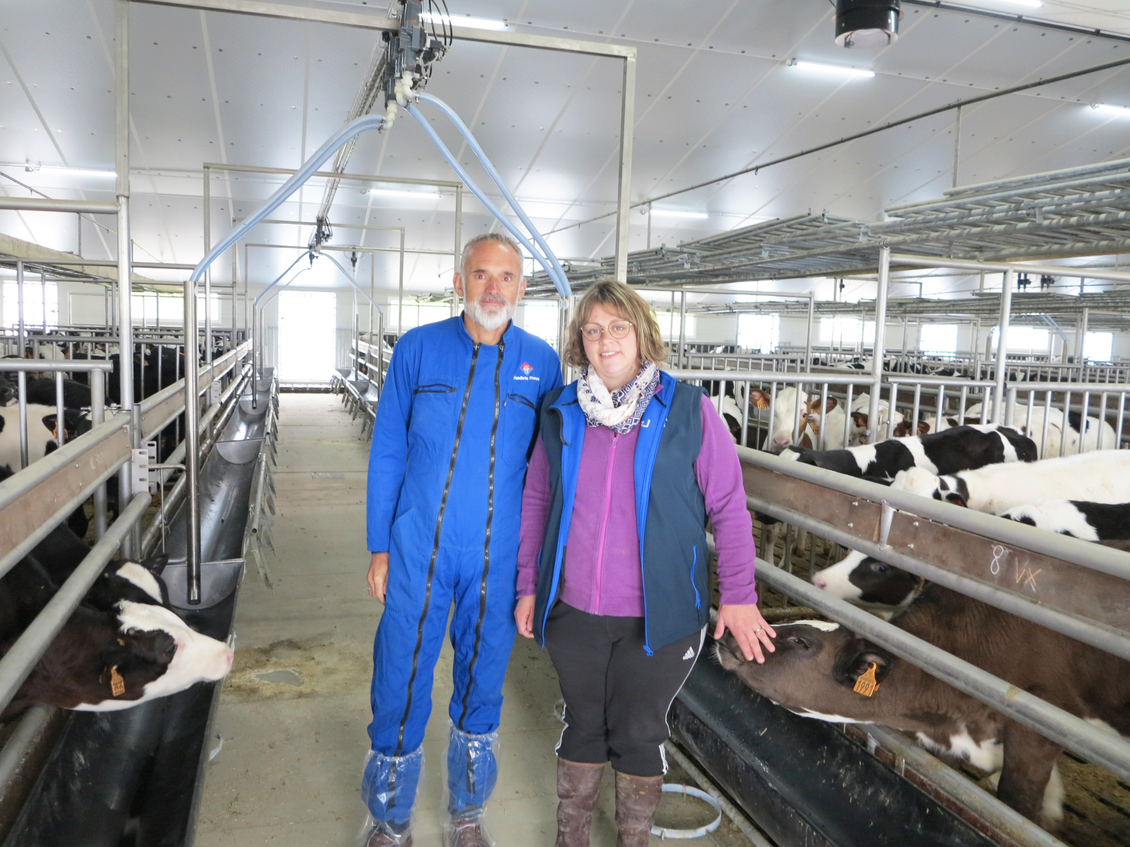 Veaux de boucherie&nbsp;: Un nouveau concept de bâtiment premium