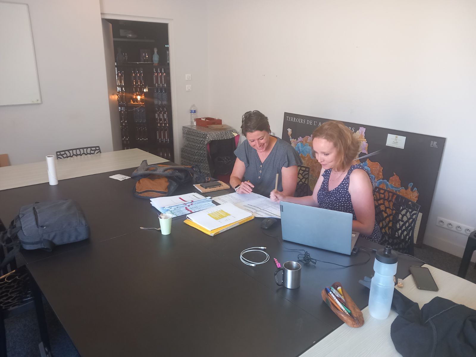 Certification HVE collective pour Vinovalie – Un engagement environnemental remarquable