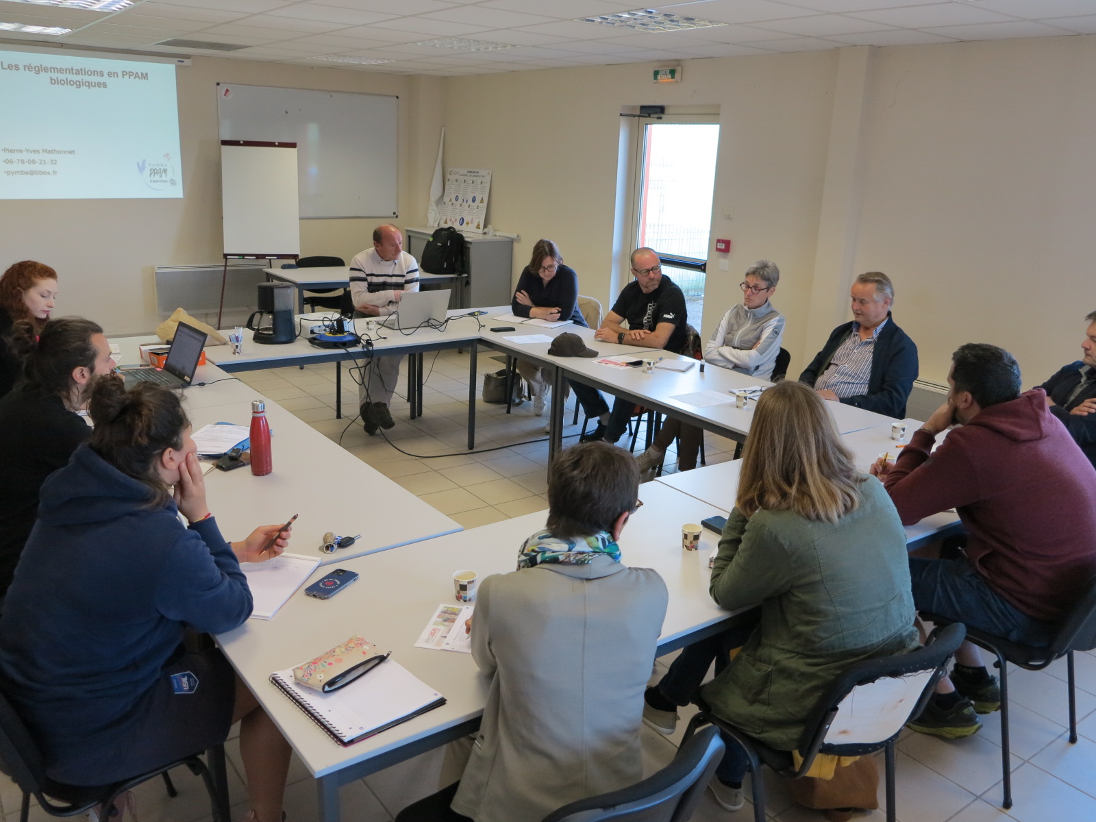 Huiles essentielles et produits de PPAM&nbsp;: Une réglementation complexe à connaître