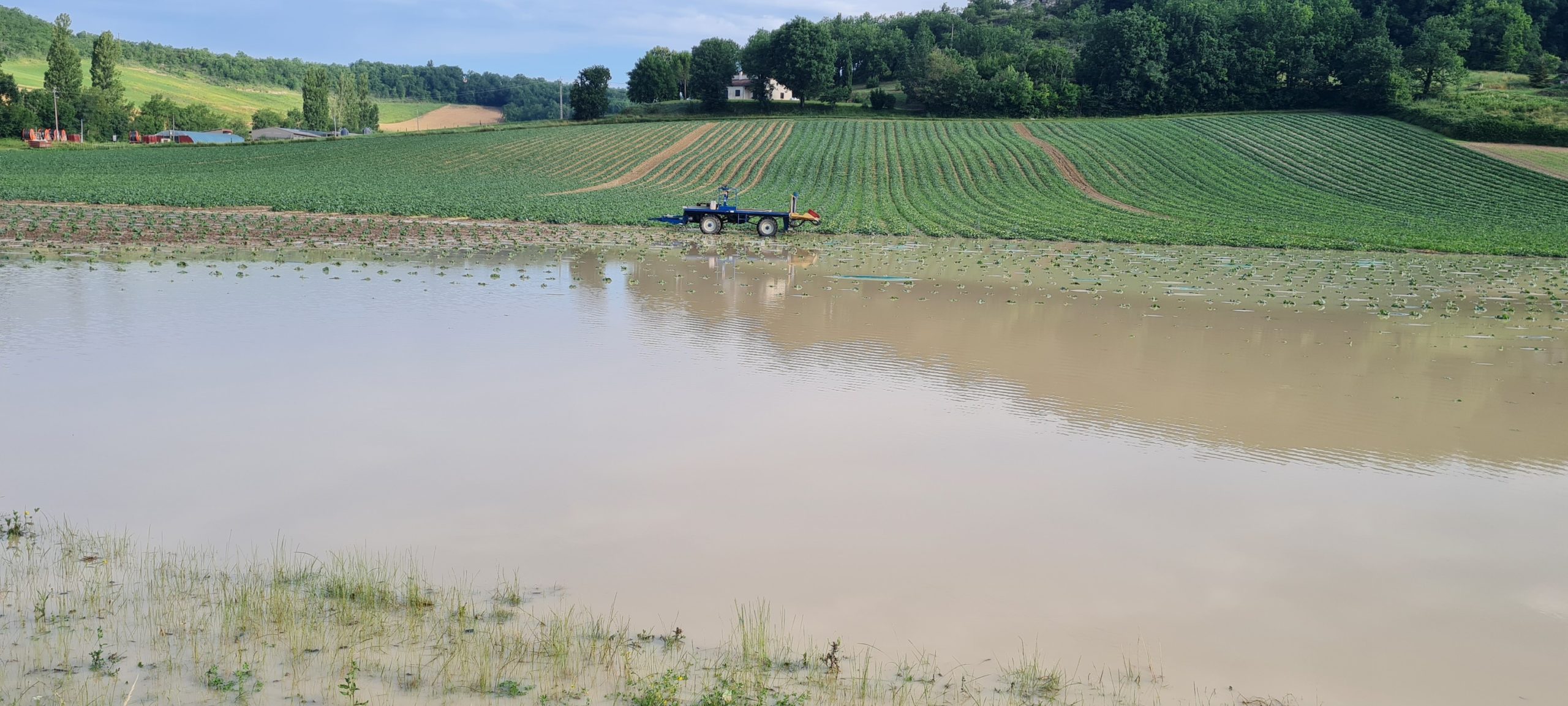 Orages du 21 juin&nbsp;: gros dégâts sur les parcelles