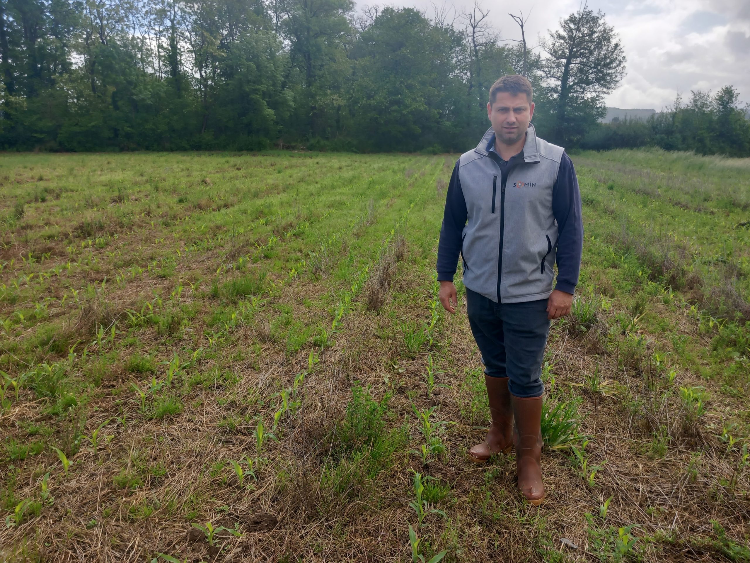 L&rsquo;agriculture de conservation des sols pour une meilleure efficience de l&rsquo;eau&nbsp;?