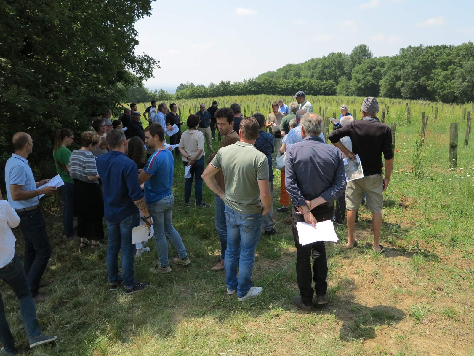Coopérative Alliance Forêt Bois&nbsp;: Adapter nos forêts aux nouveaux enjeux