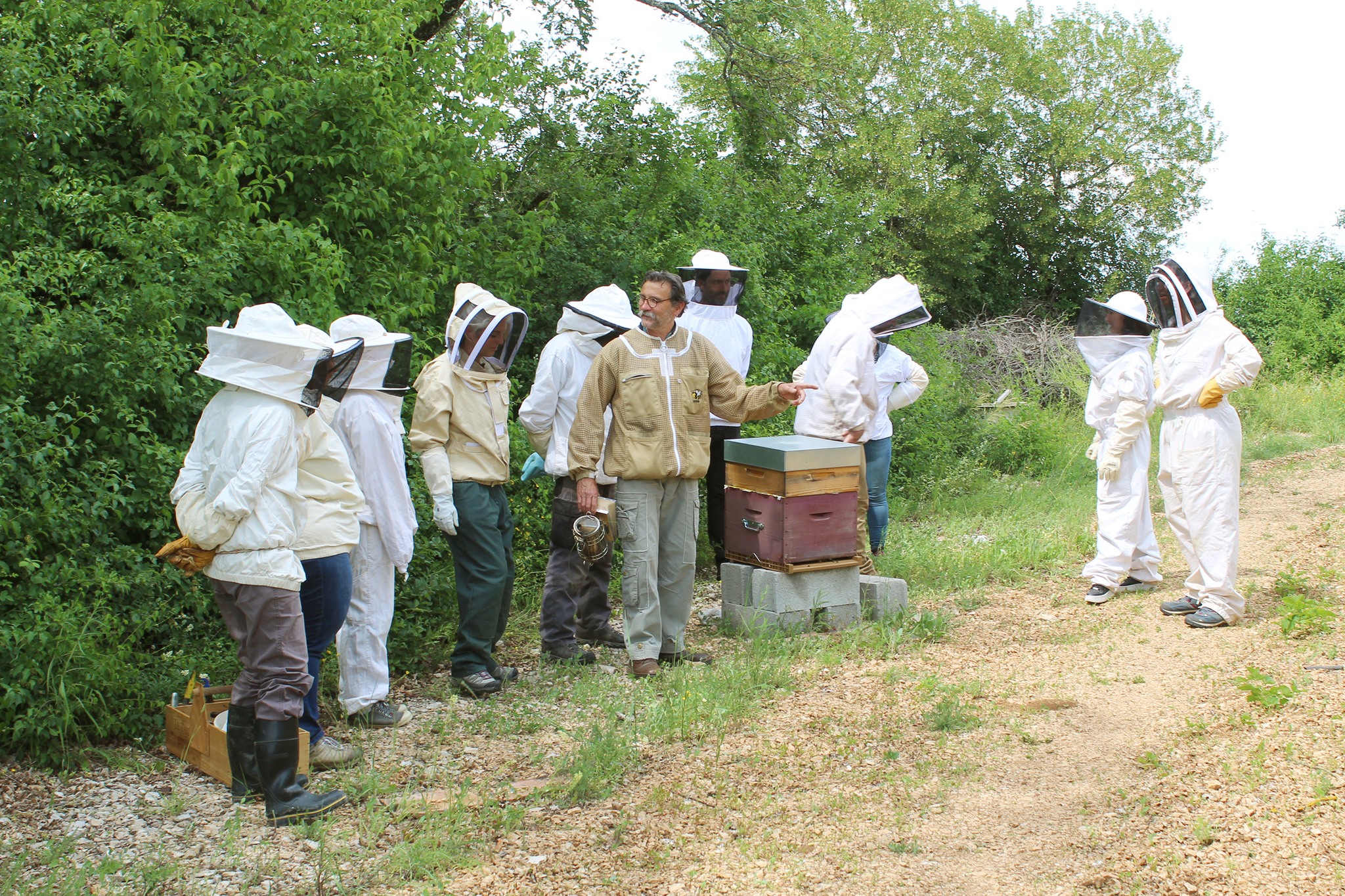 Retour sur la formation « Mettre en place un petit rucher »