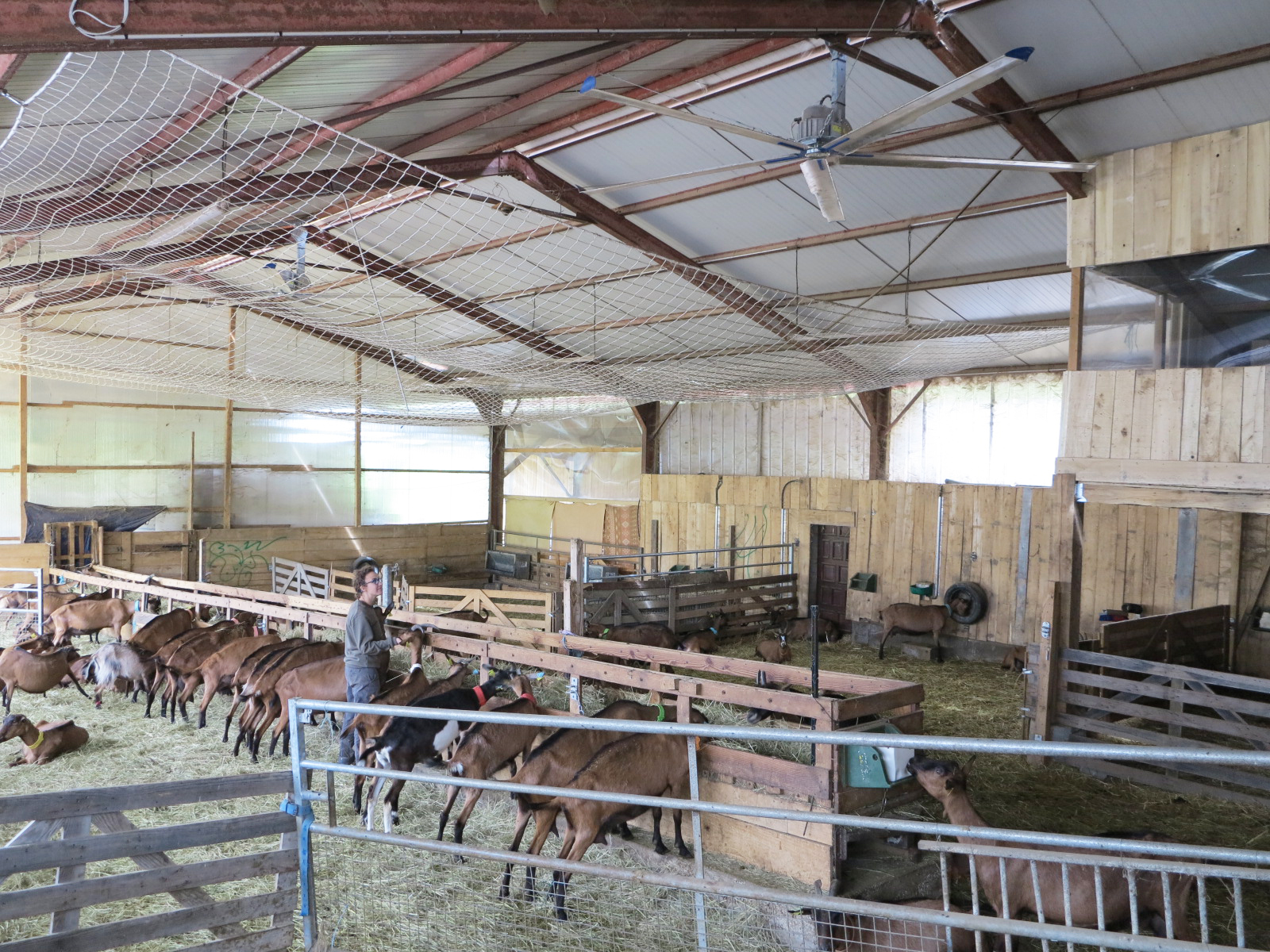 Rafraîchissement des bâtiments&nbsp;: Des ventilateurs à hélices efficaces