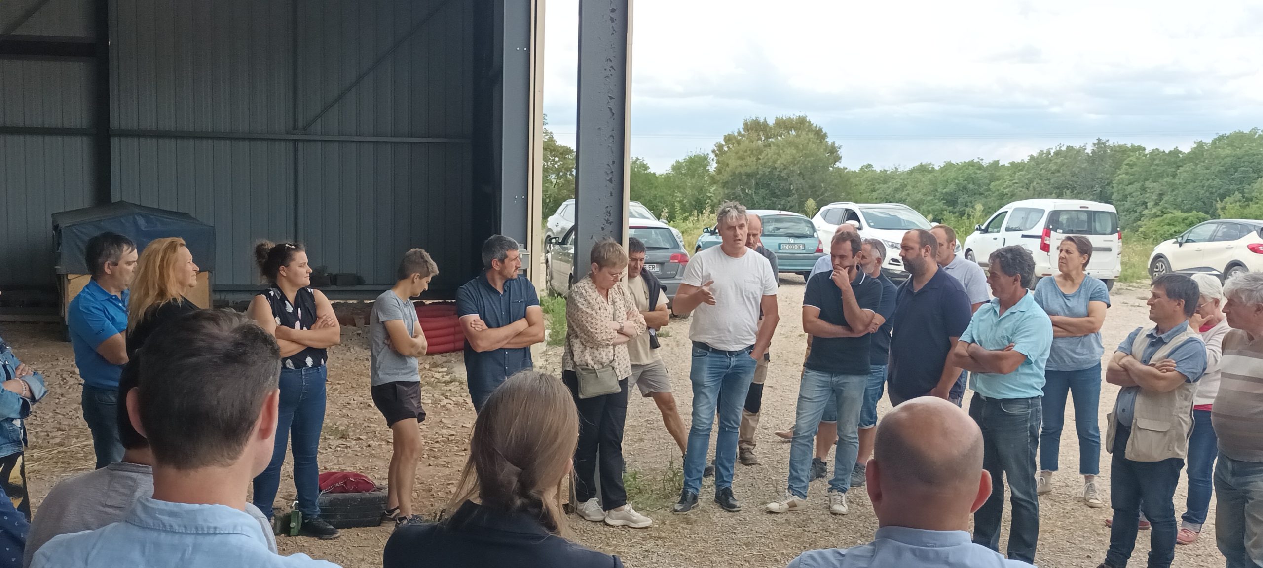 Point Prédation&nbsp;: Éleveurs à bout… la situation n’est plus tenable