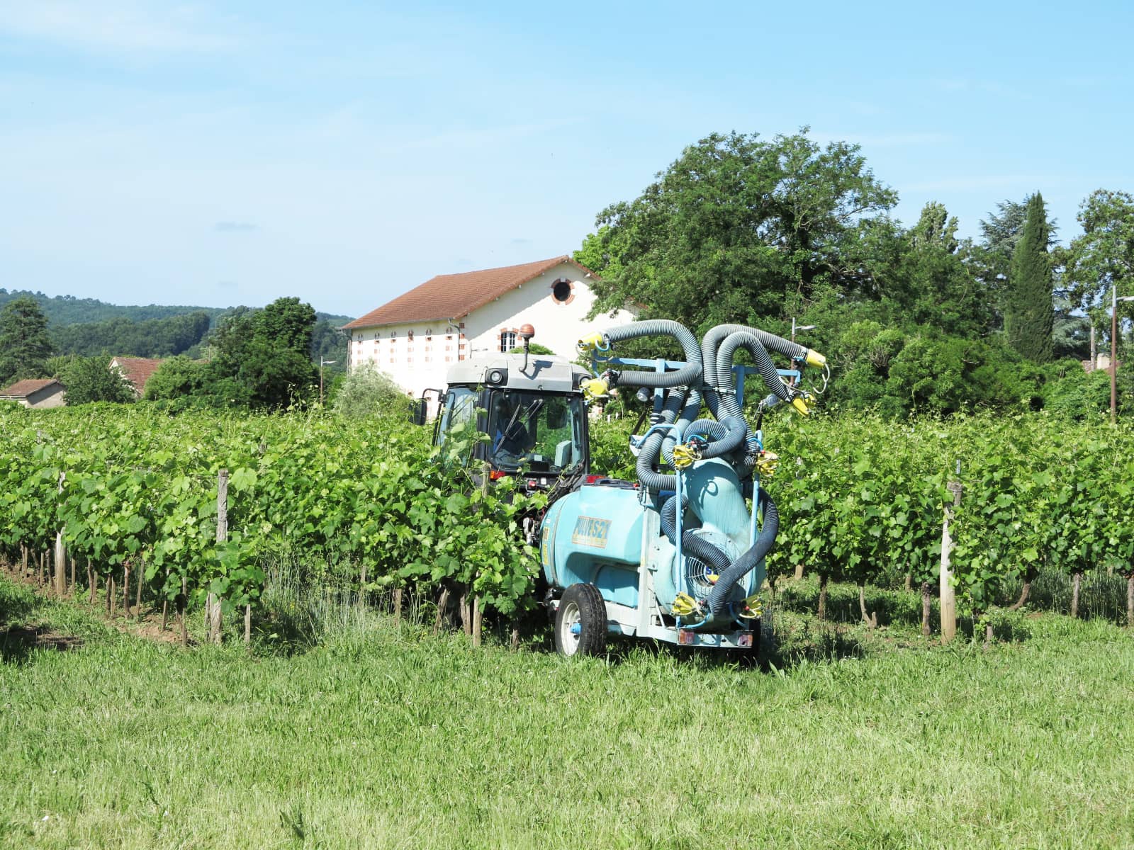 Viticulture&nbsp;: Situation de crise sanitaire et économique