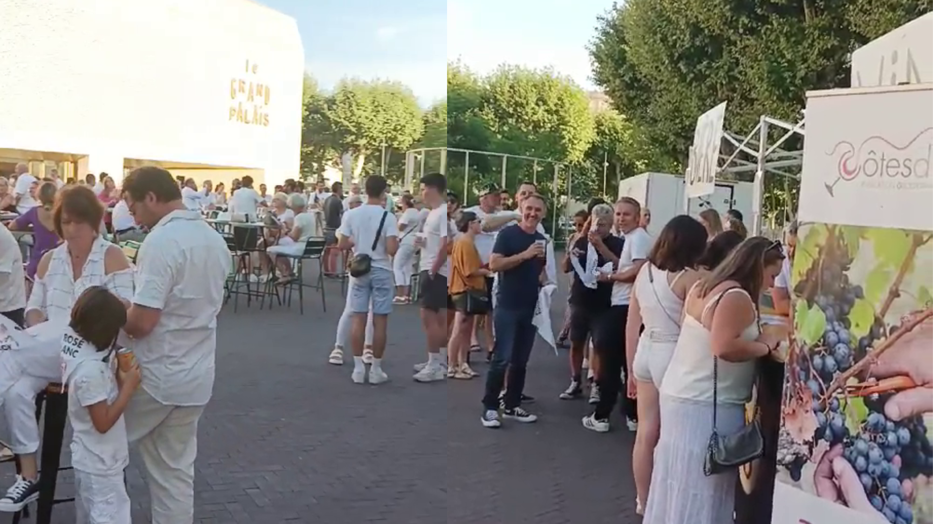 Soirée Blanche&nbsp;: Célébration des Vins Blancs à Cahors ce 4 juillet