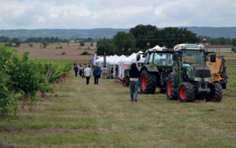 La deuxième édition de VINI VITI VICI ce 20 juillet
