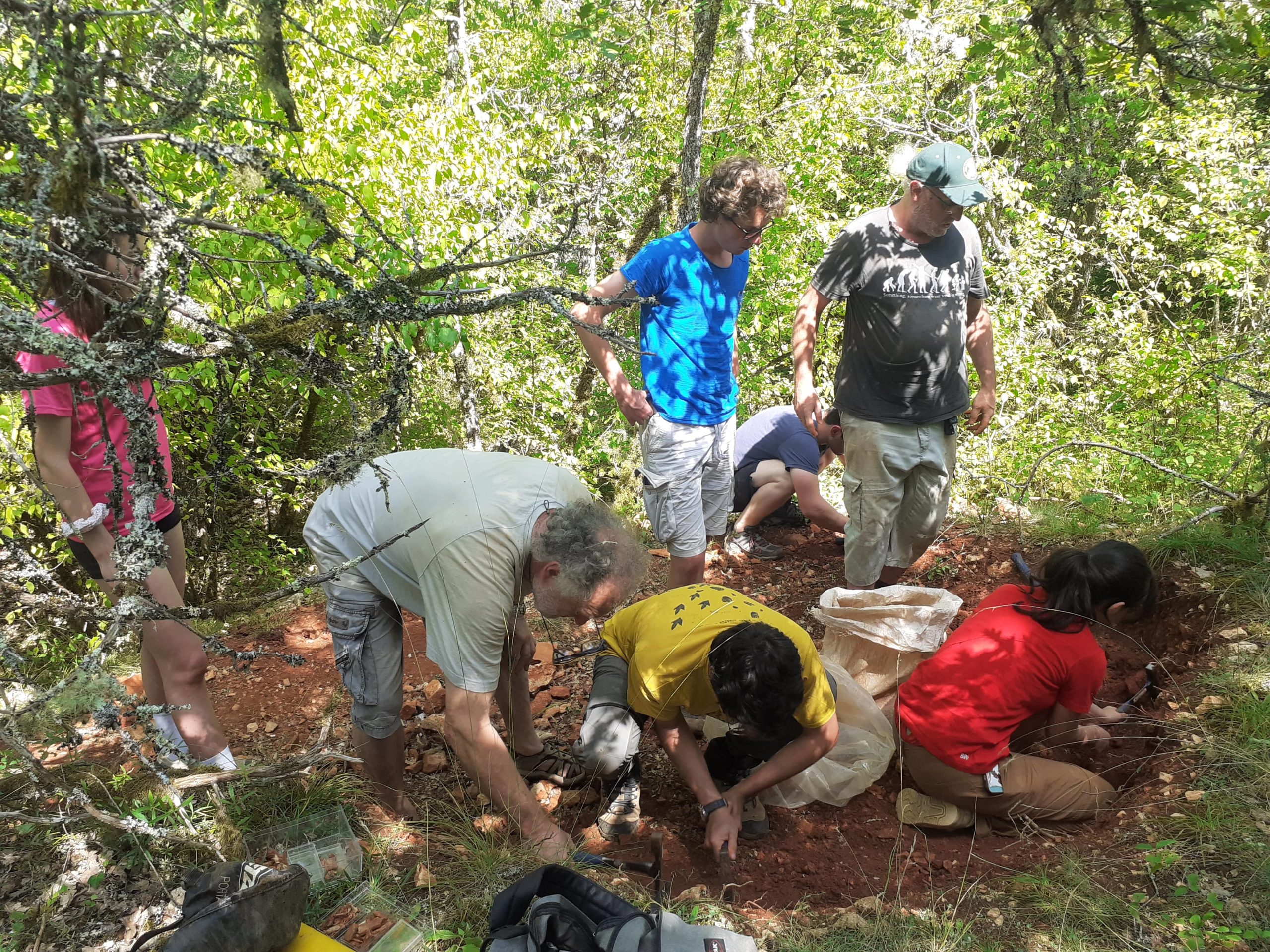 Fouilles paléontologiques : les phosphatières du Quercy livrent leurs secrets