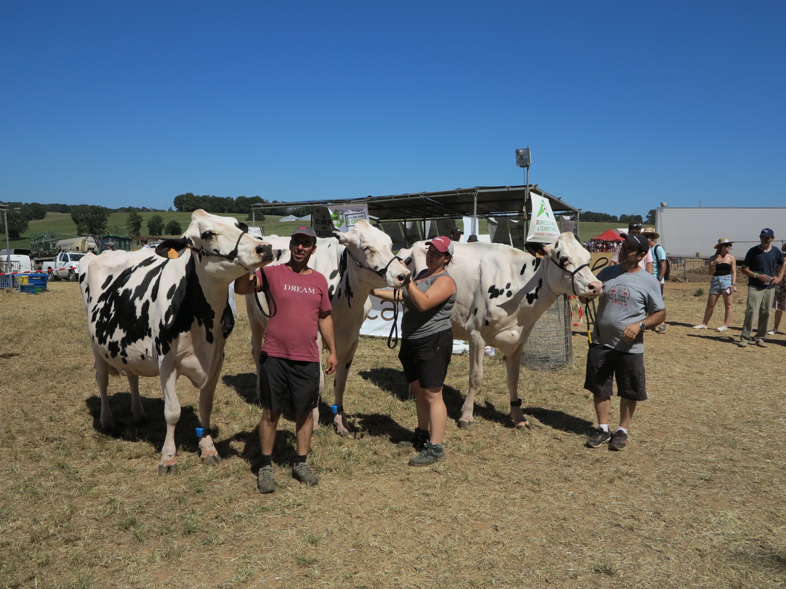 Résultats&nbsp;: Concours Prim&rsquo;Holstein