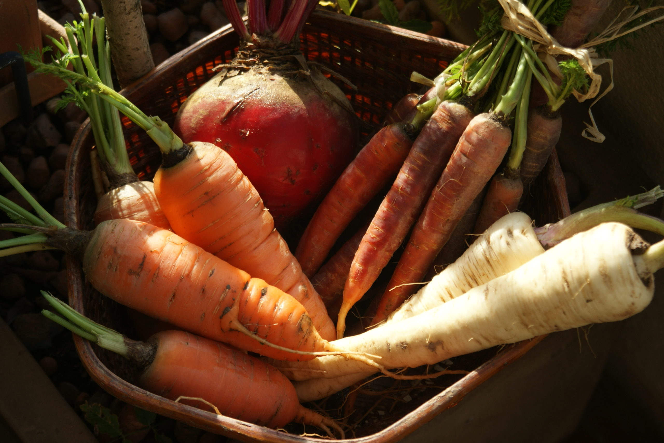 Jardinez avec la lune