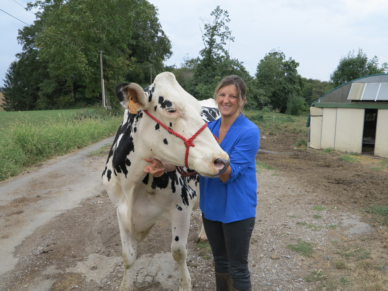 Syndicat des éleveurs Prim’Holstein et Fédération des syndicats des races bovines Une nouvelle présidente&nbsp;: Virginie Sainte-Marie