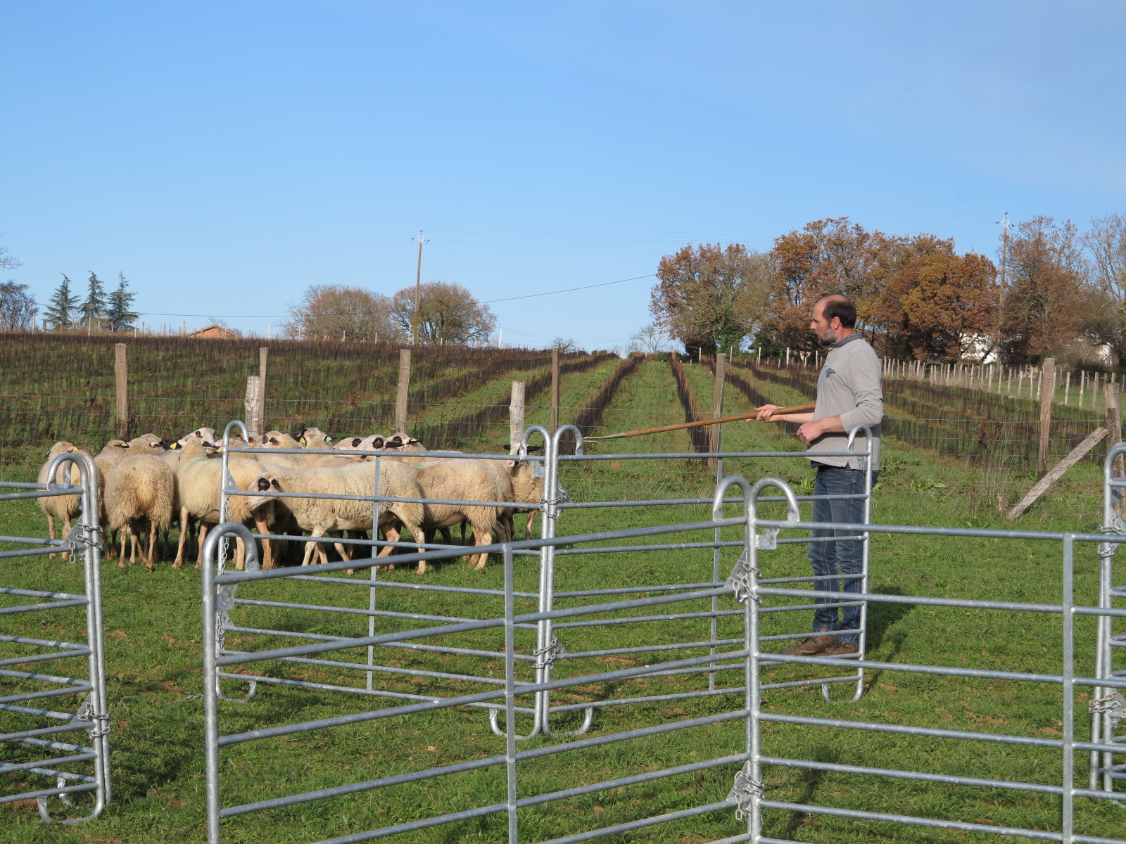 FDSEA&nbsp;: Conseil d’Administration de rentrée