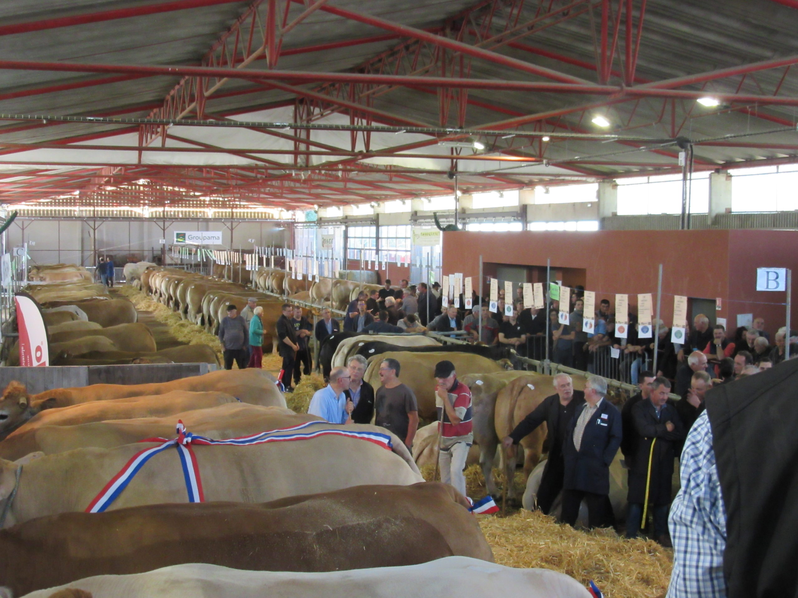 FESTIBOEUF 2023 à Naucelle vendredi 6 et samedi 7 octobre 2023