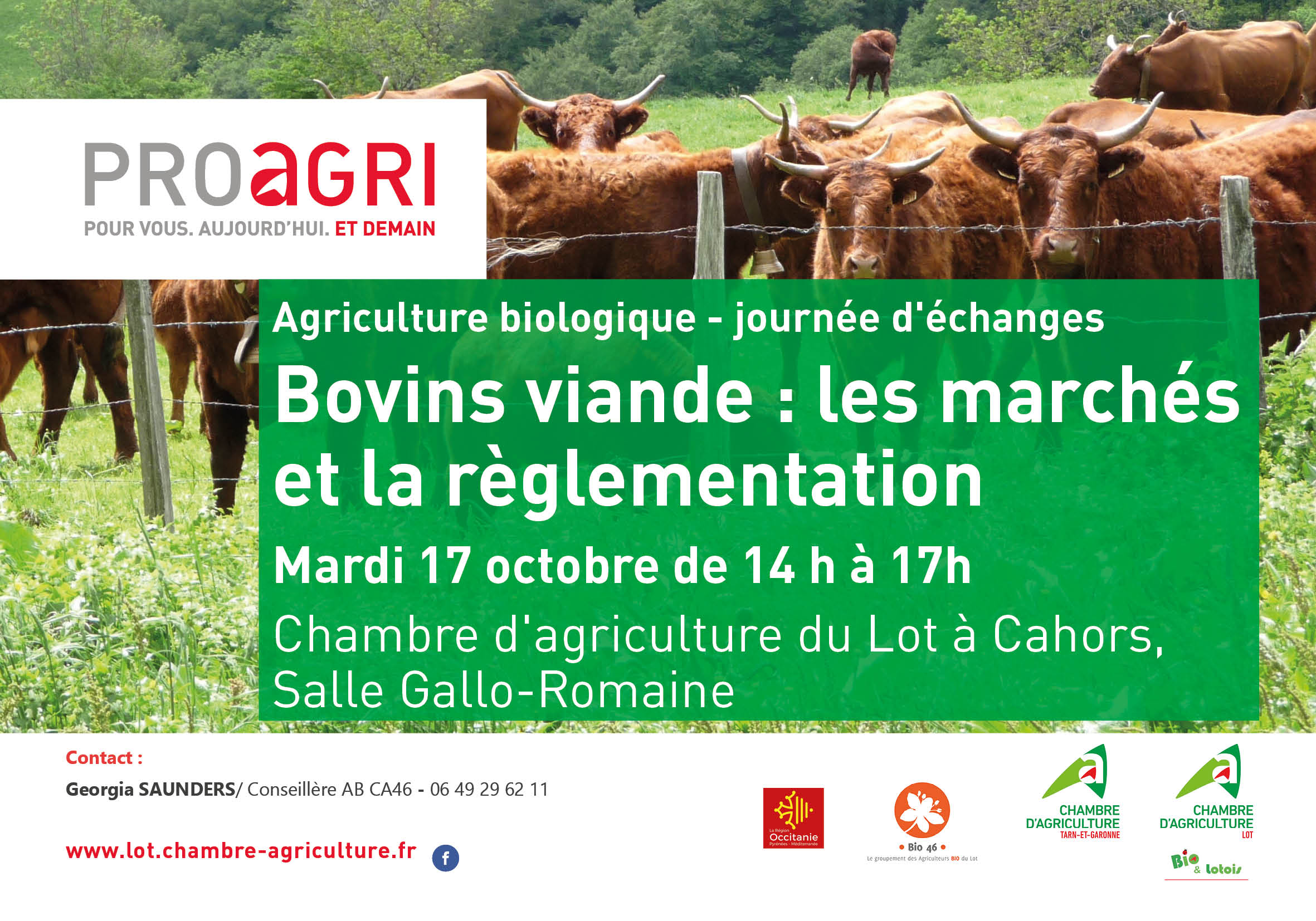 Bovin Viande Bio&nbsp;: Après-midi d’échanges sur les marchés et la réglementation en production bovine bio