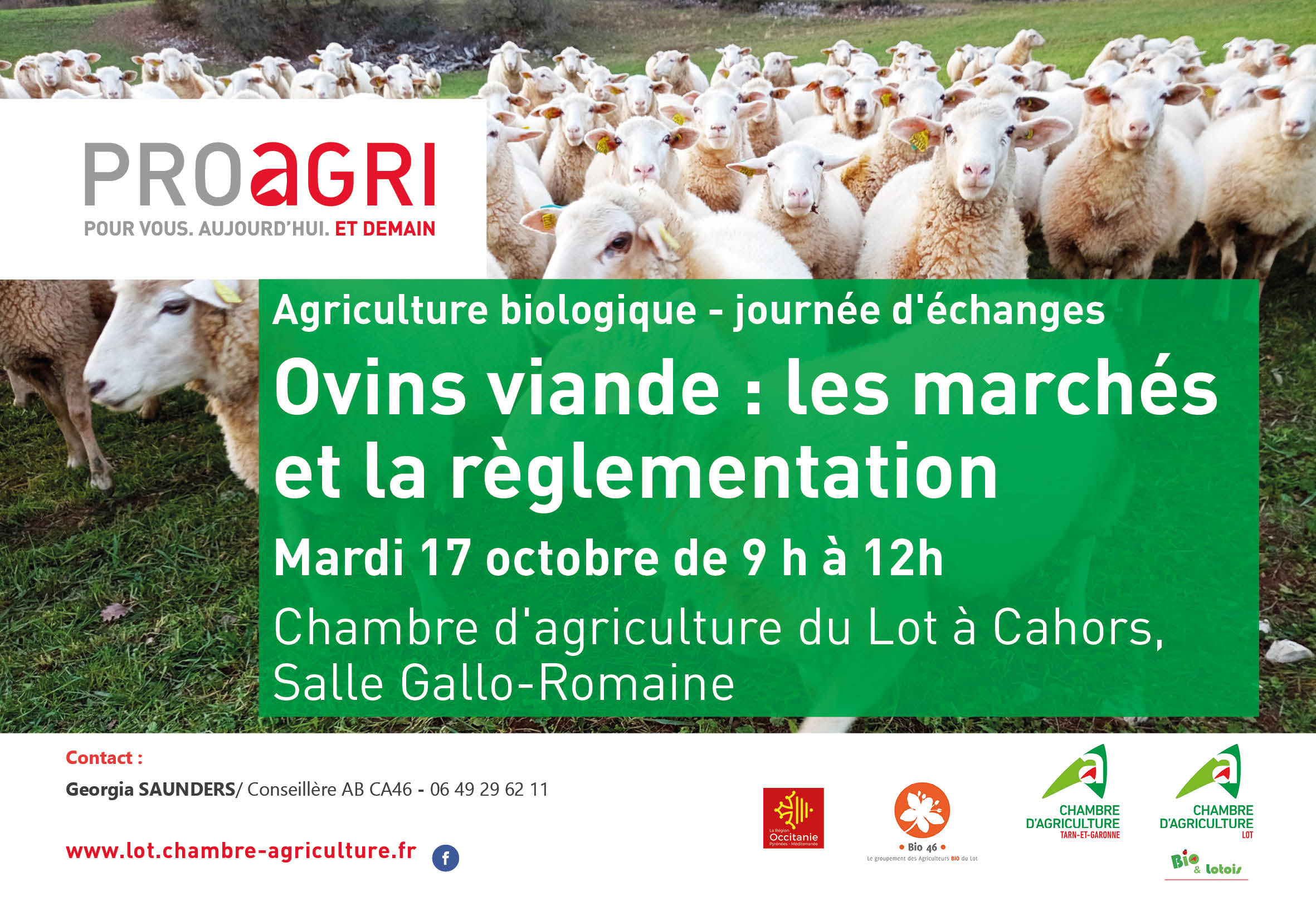 Ovins viande bio&nbsp;: Réunion d’échanges sur les marchés et la réglementation pour la production ovine bio.