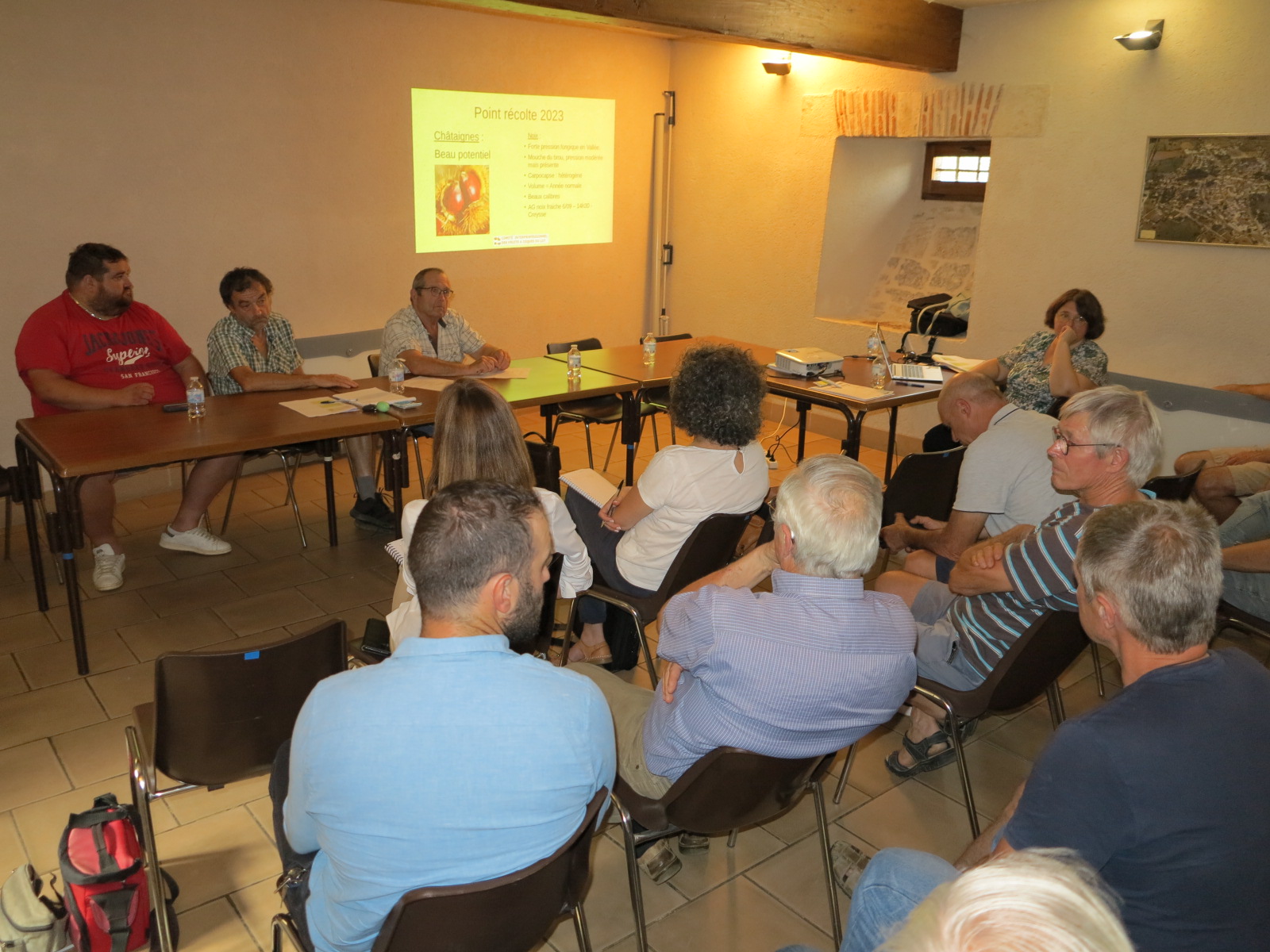 Comité des fruits à coque&nbsp;: Quel marché pour la noix&nbsp;?