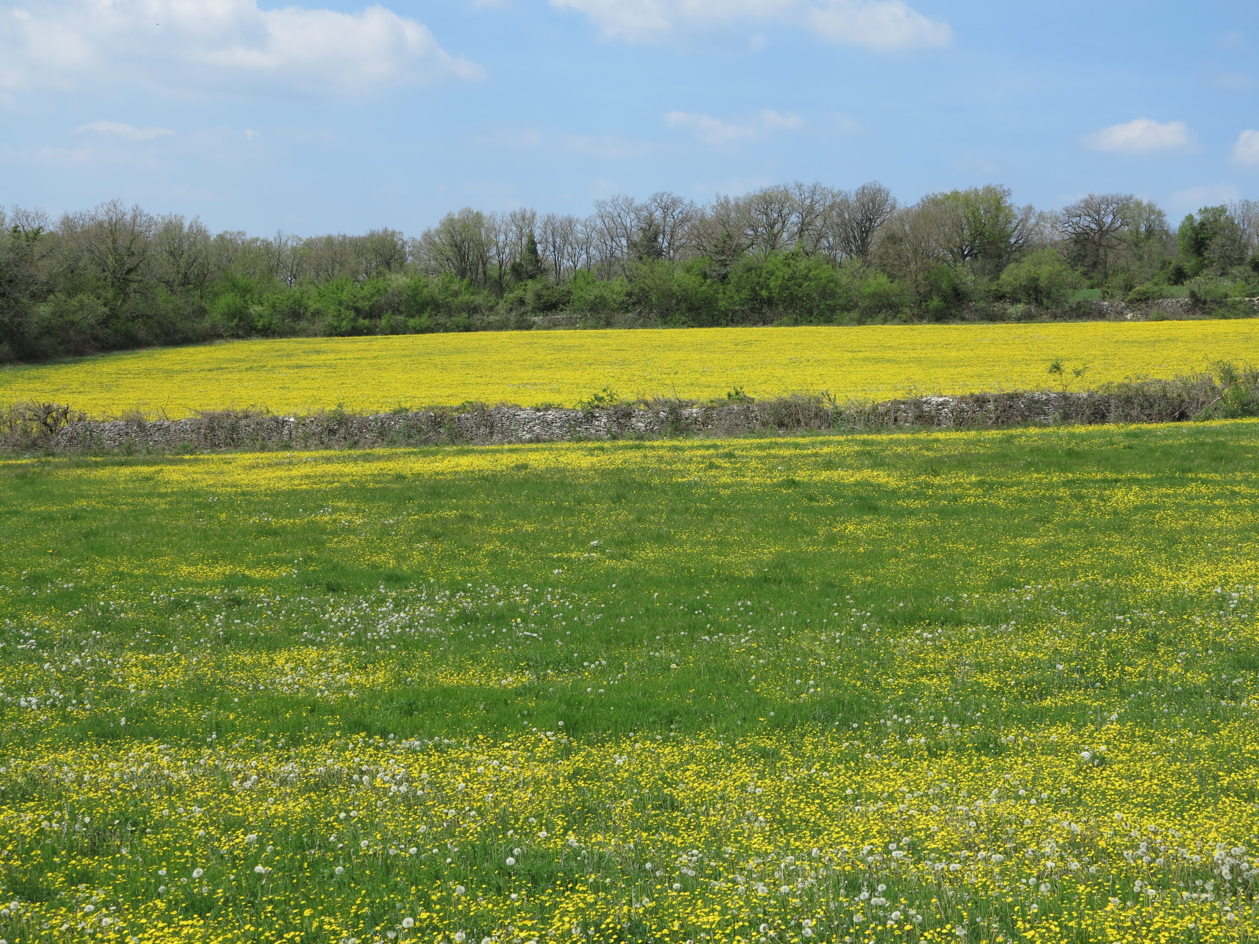 Fdchasseurs et Chambre d’agriculture&nbsp;: Vingt ans de partenariat