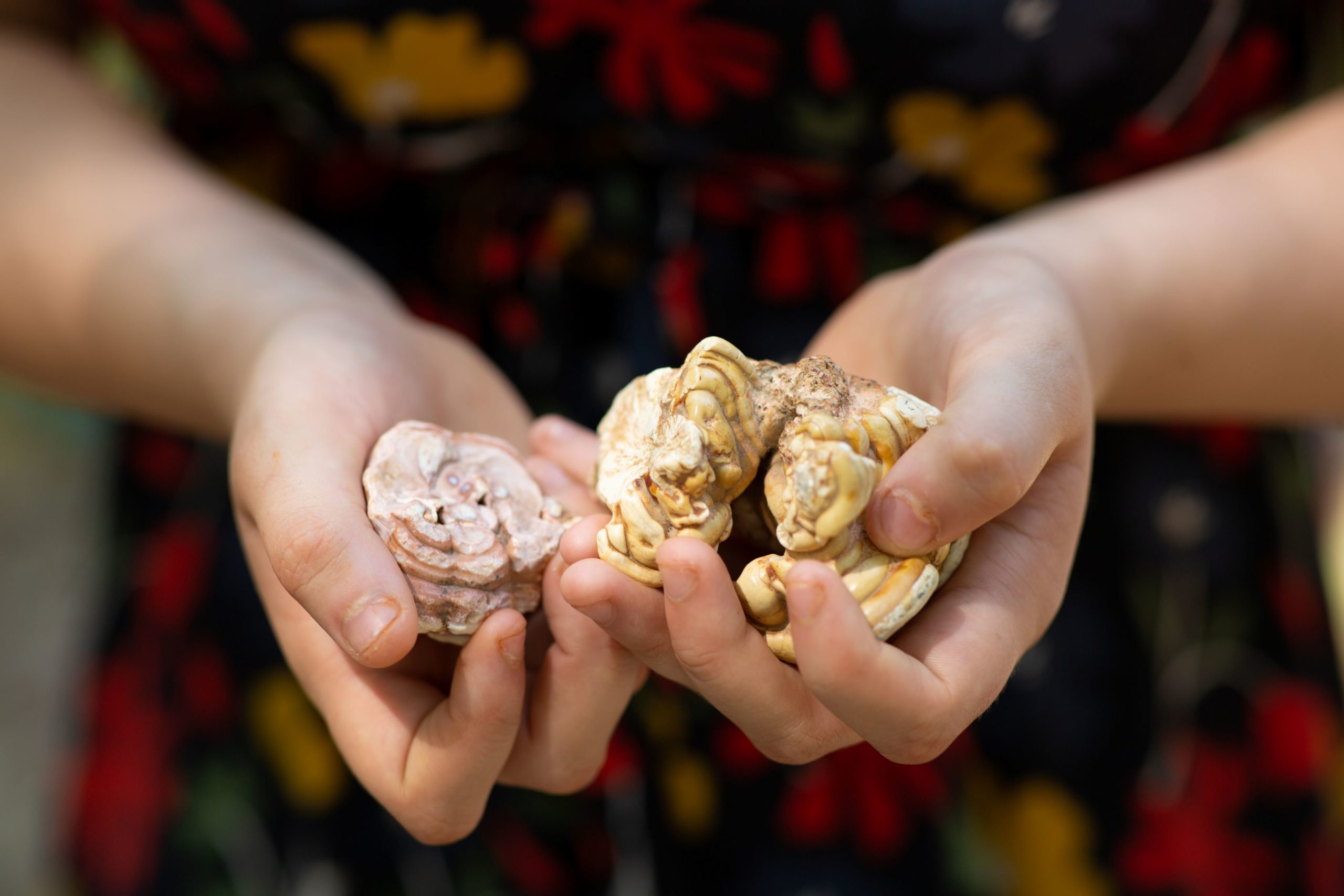Premier café-débat de la Réserve géologique du Lot