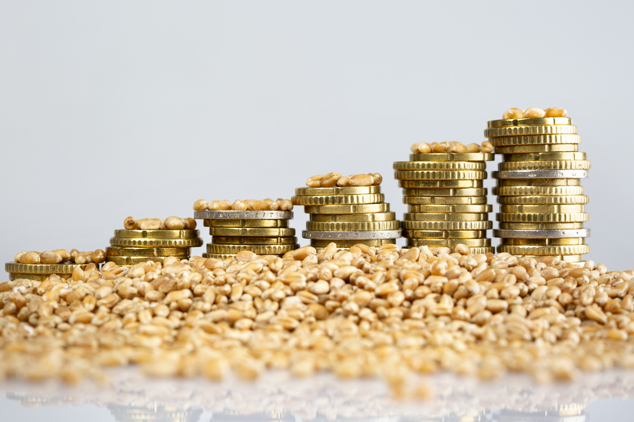 Budget&nbsp;: satisfaction sur le GNR, déception sur les transmissions et l’élevage pour la FNSEA