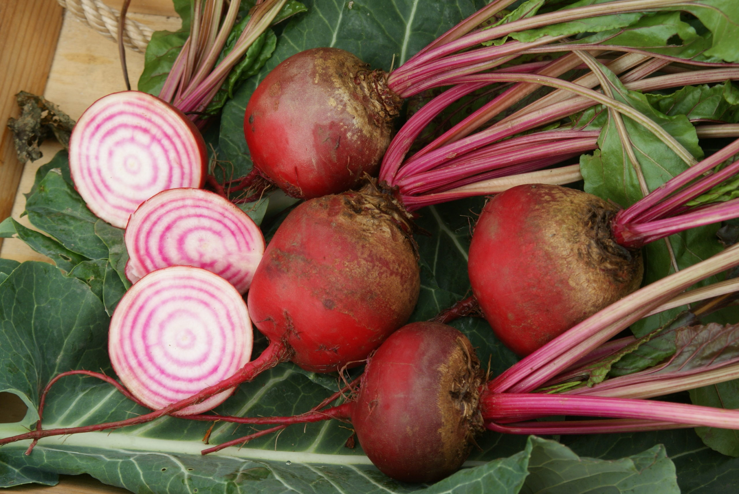 Jardinez avec la lune