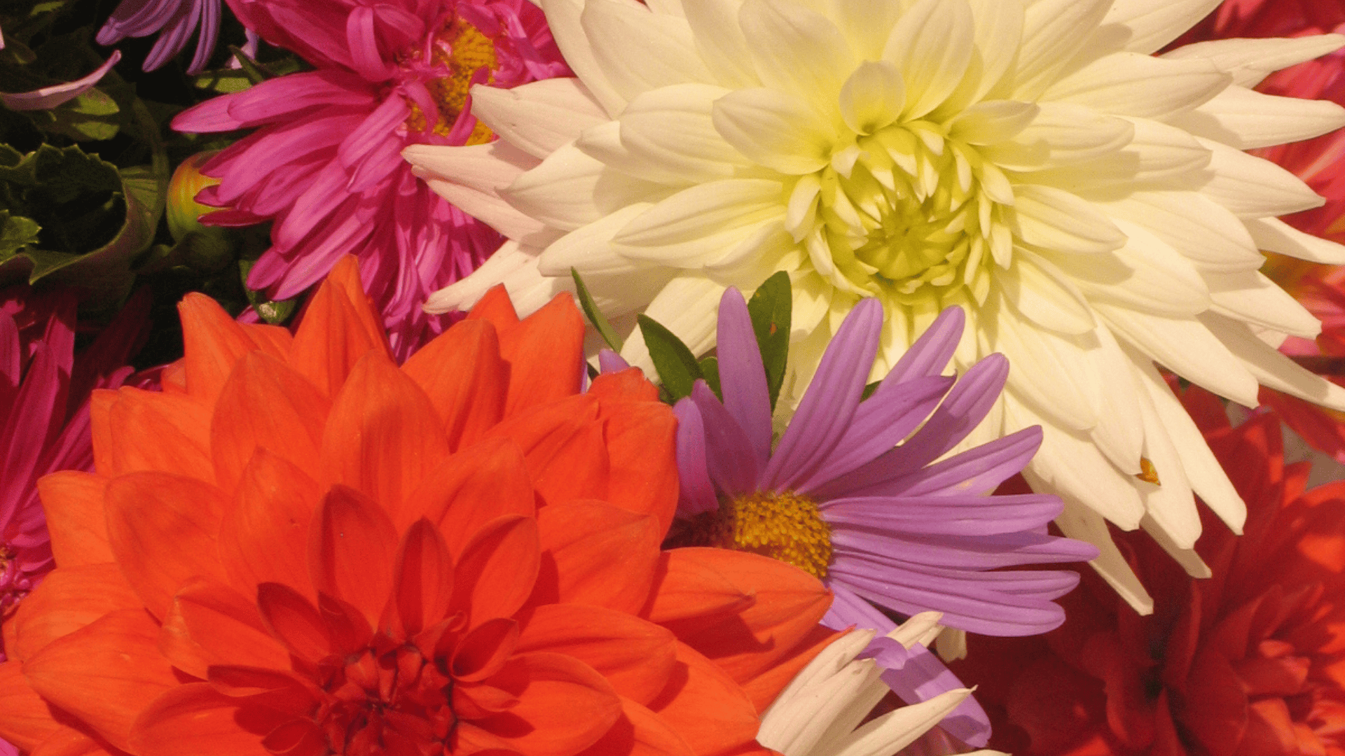 Jardinez avec la lune