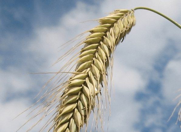 Chambres d&rsquo;agriculture&nbsp;: Lettre économique – Octobre 2023