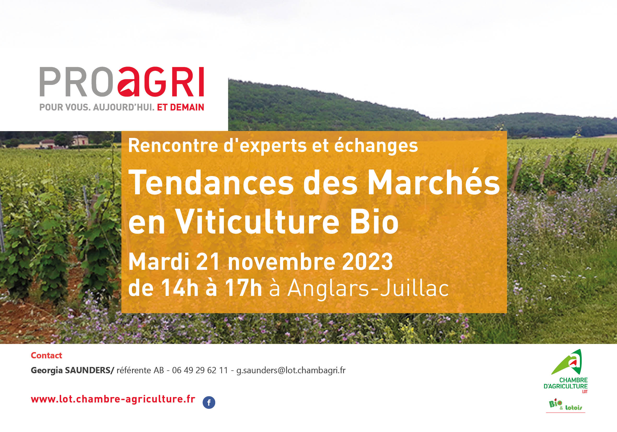 Rencontre le 21 novembre&nbsp;: Tendances des Marchés en Viticulture Bio