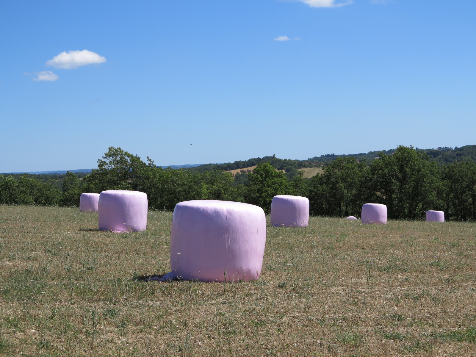 Octobre rose&nbsp;: Les agricultrices et la MSA s’engagent