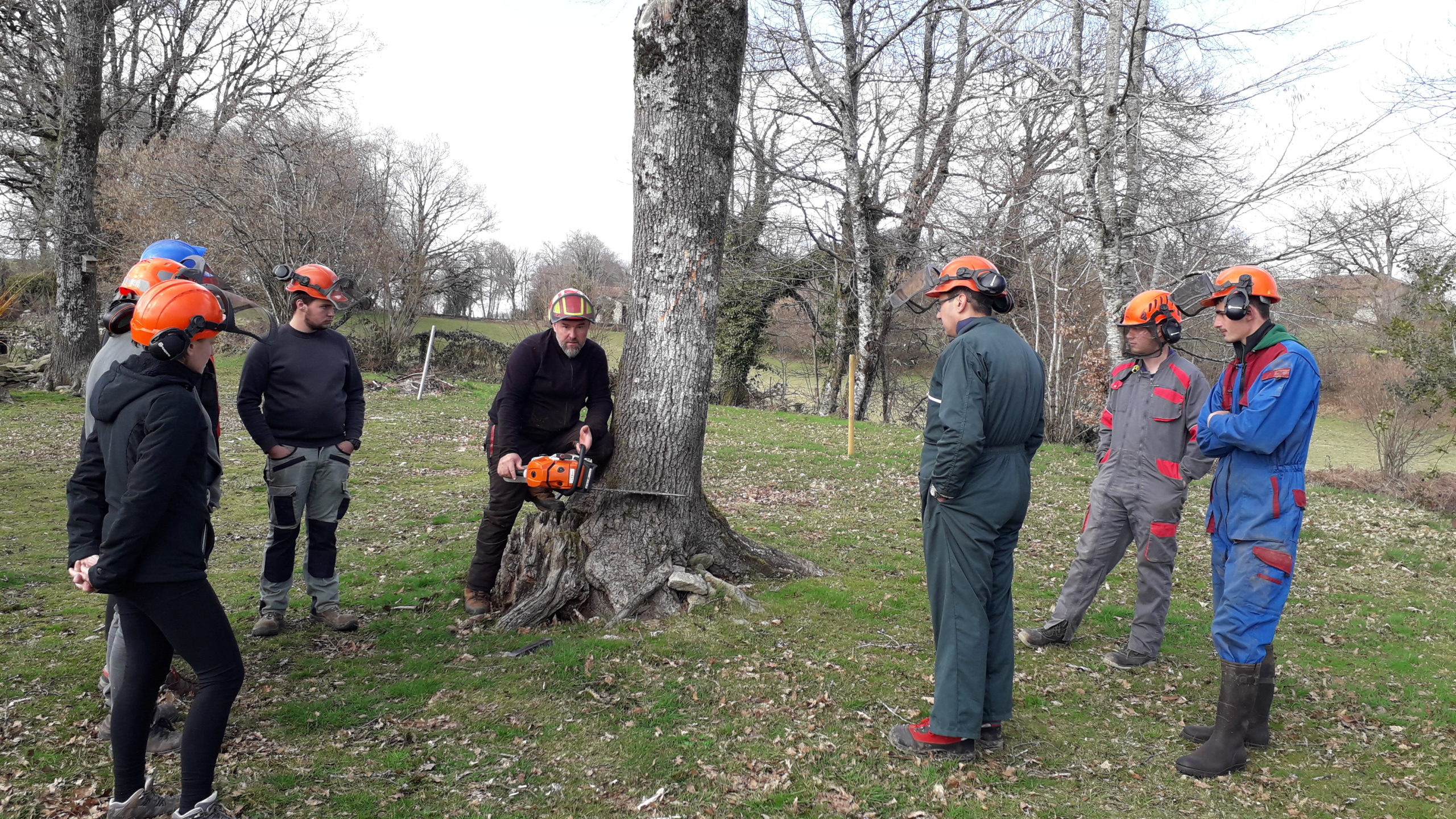 Formation 2023&nbsp;: Bûcheronnage