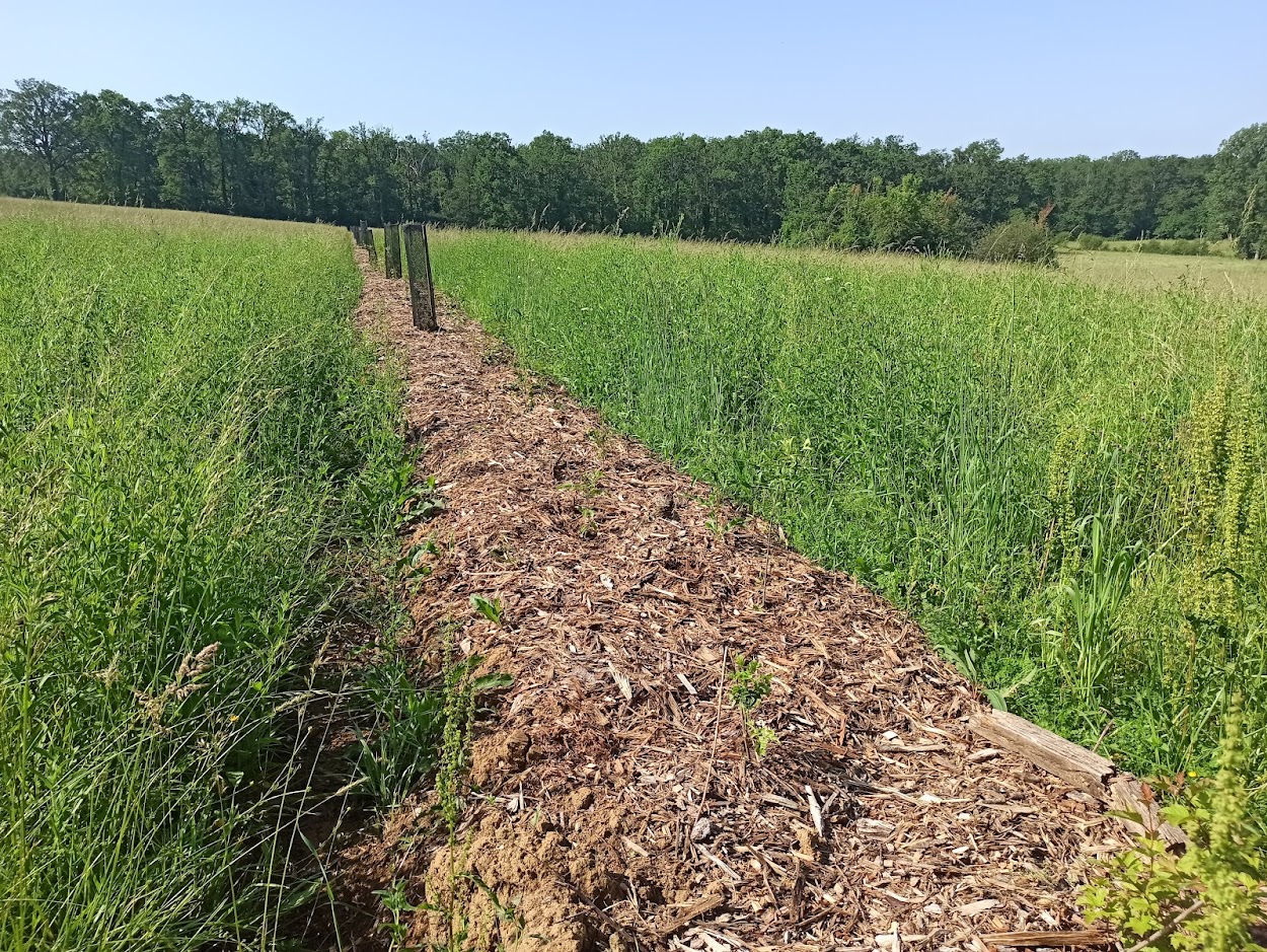 Arbres, Haies, Paysages 46&nbsp;: Annonce du «&nbsp;Pacte en faveur de la Haie&nbsp;»