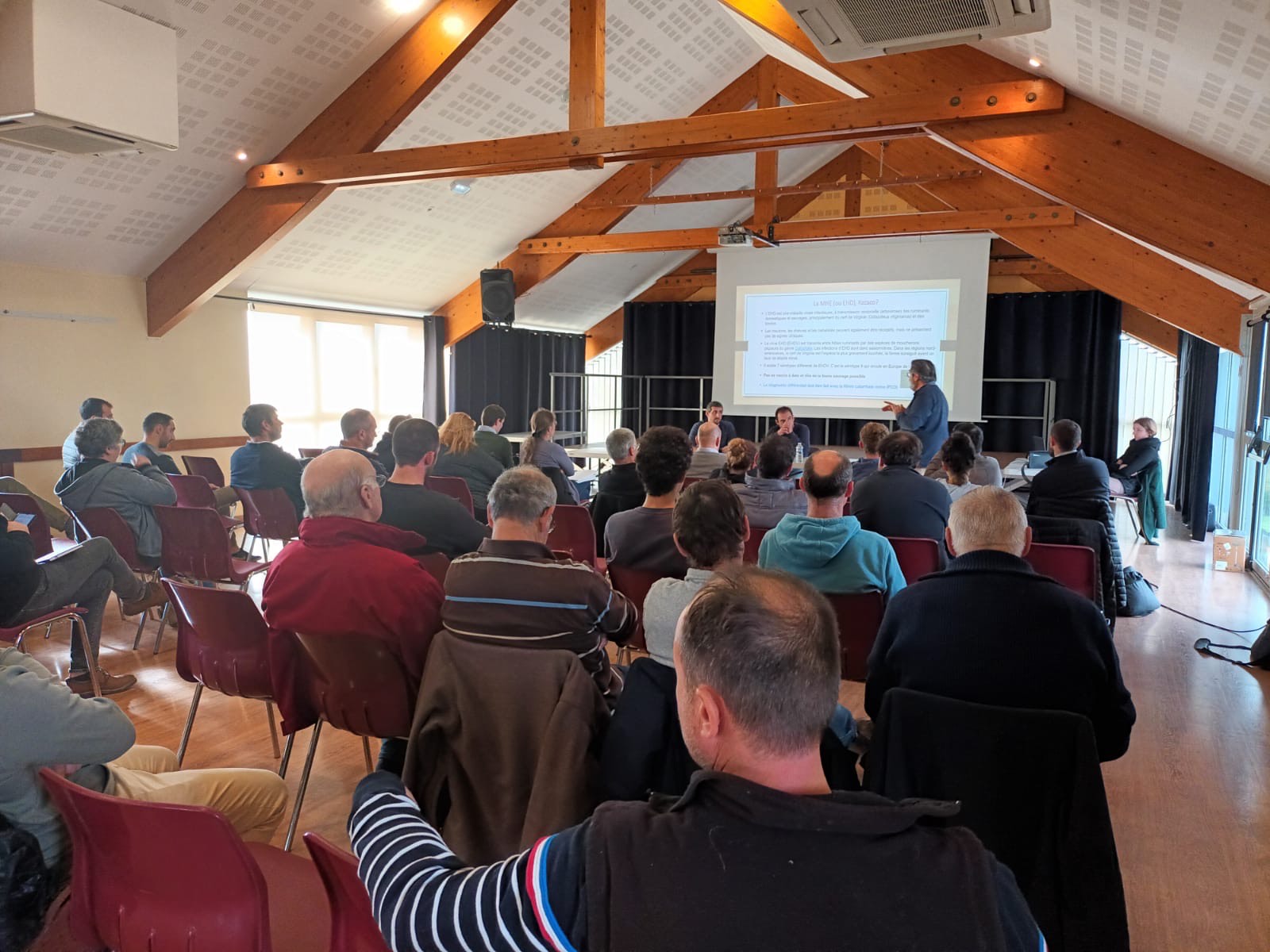 Ovins&nbsp;: Assemblée générale Syndicat d’Elevage Ovin