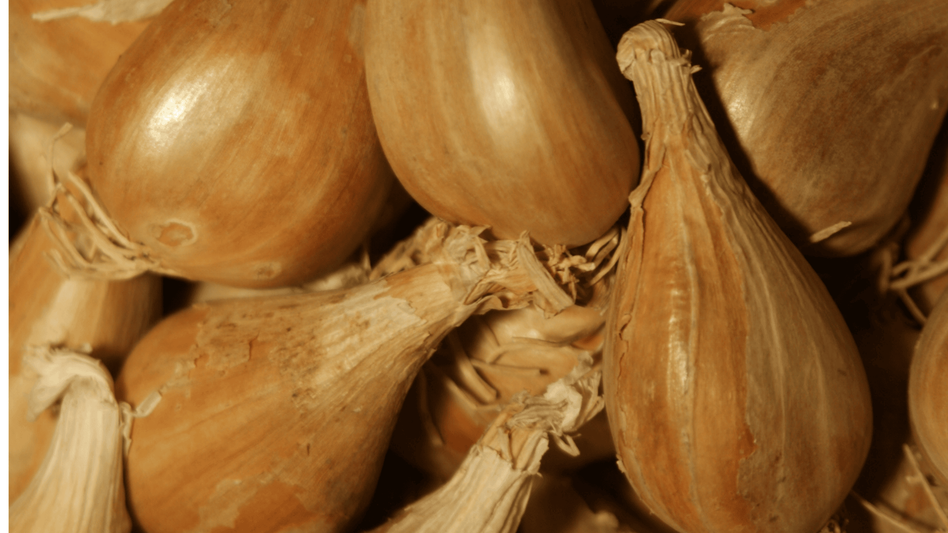 Jardinez avec la lune