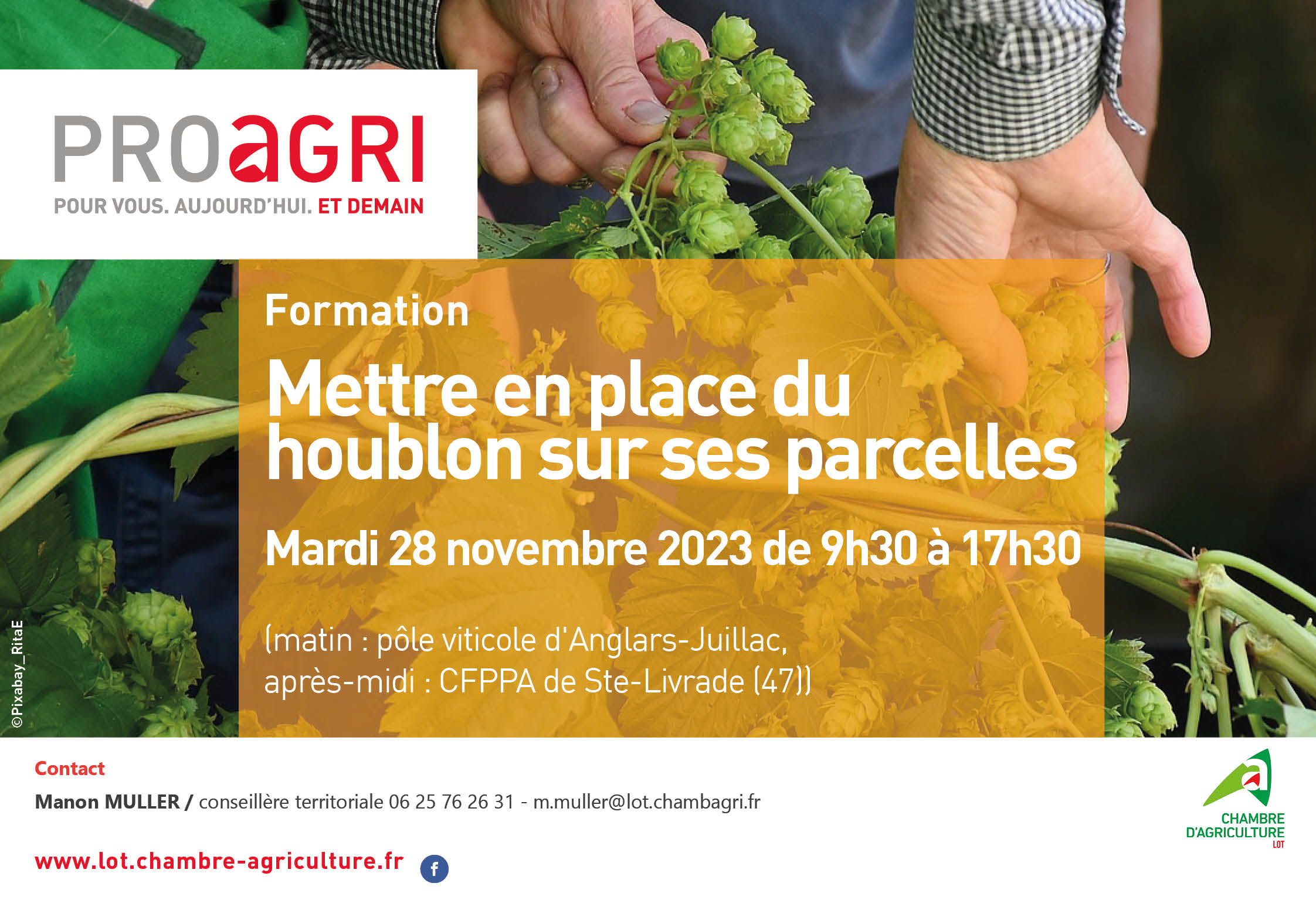 Formation&nbsp;: Mettre en place du houblon bio sur ses parcelles, le 28 novembre