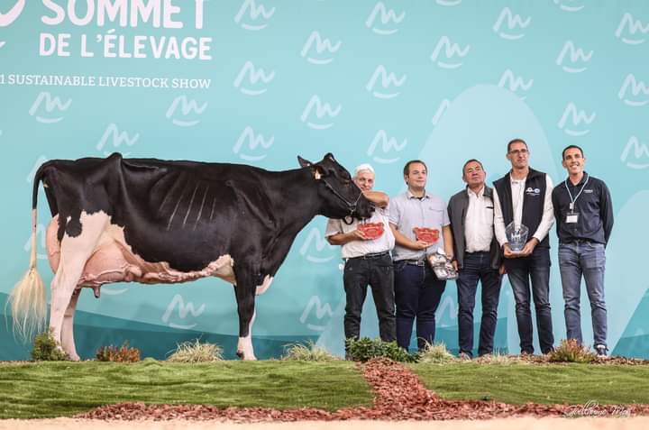 Sommet de l’élevage&nbsp;: La belle récolte des éleveurs Prim’Holstein Lotois