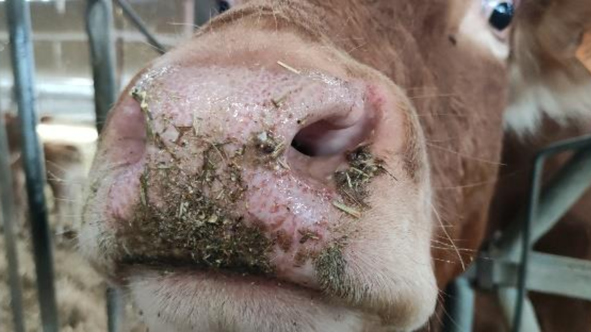 Cas cliniques de MHE Reconnaitre et prévenir