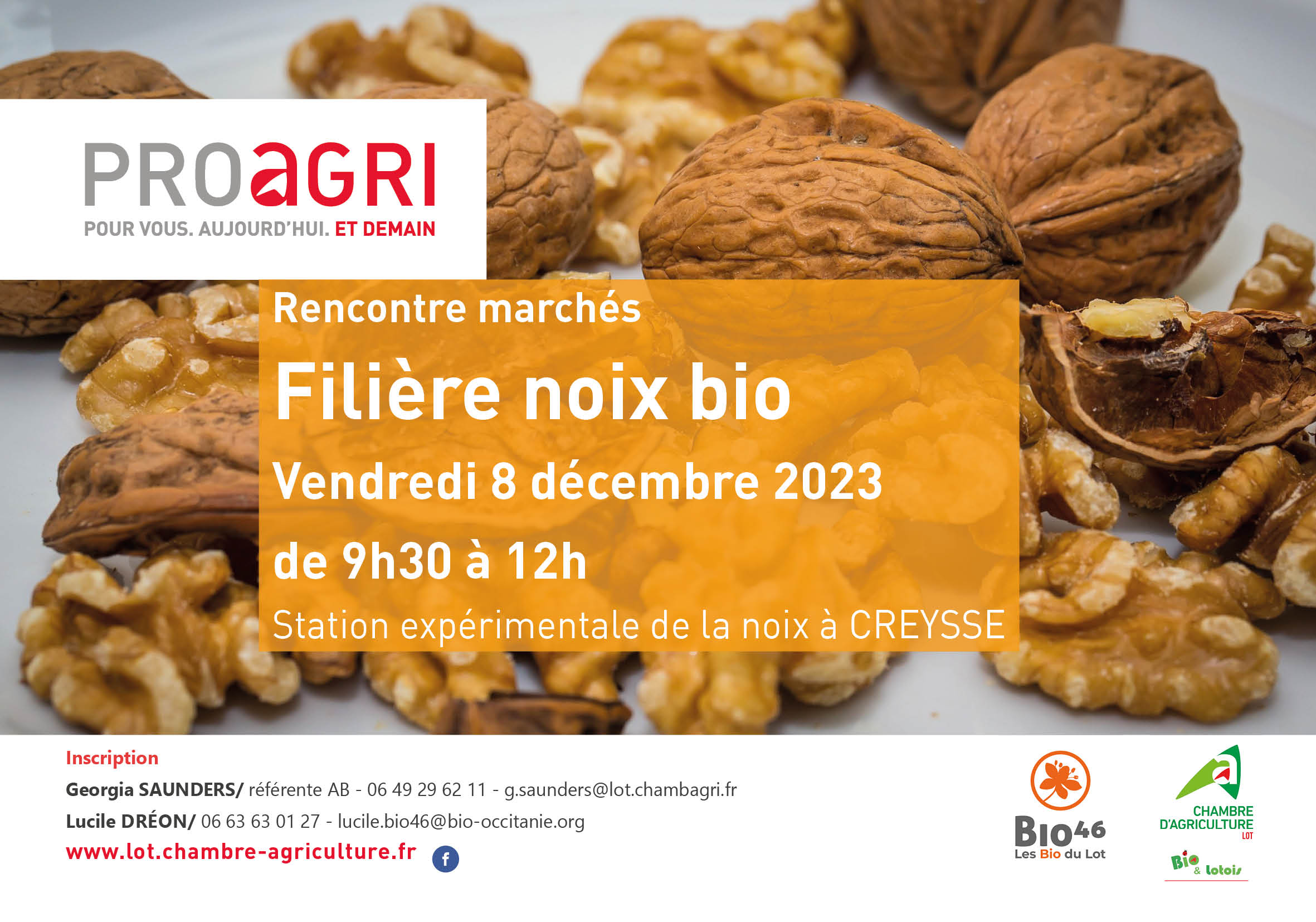 Bio 46 et la Chambre d&rsquo;agriculture du Lot organisent une rencontre sur la filière noix bio