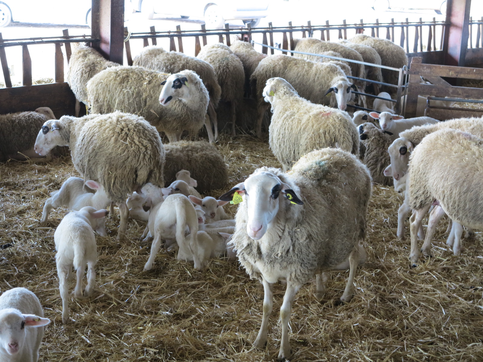 Quand économie et écologie se conjuguent avantageusement