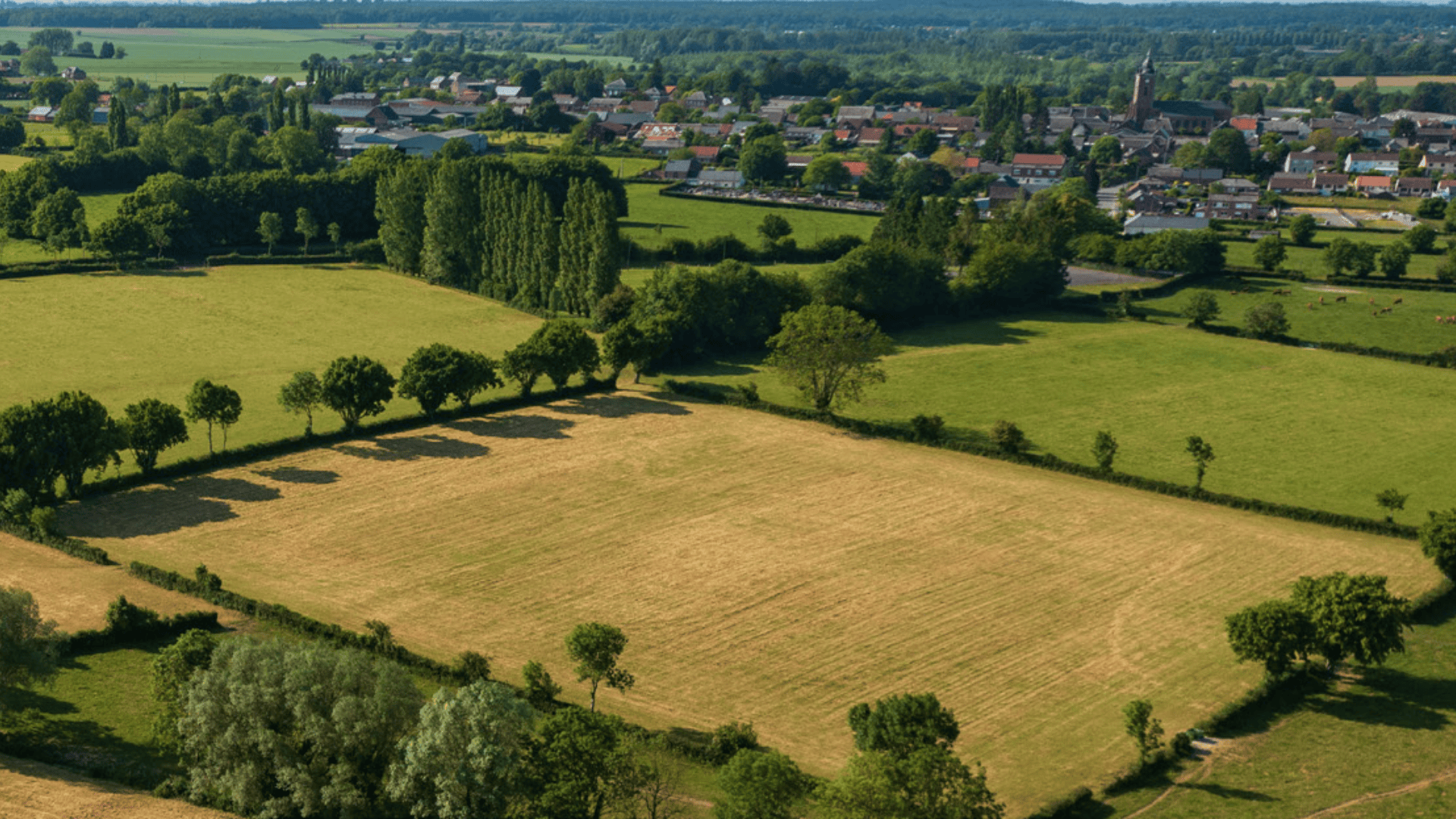 SAFER&nbsp;: «&nbsp;comment agir ensemble pour protéger notre patrimoine agricole et rural&nbsp;?&nbsp;»