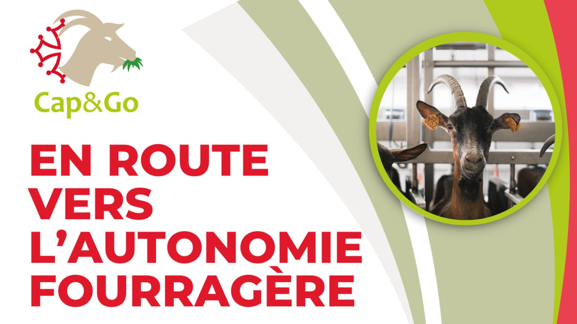 CAP&GO&nbsp;: En route vers l&rsquo;autonomie fourragère le 1er Décembre