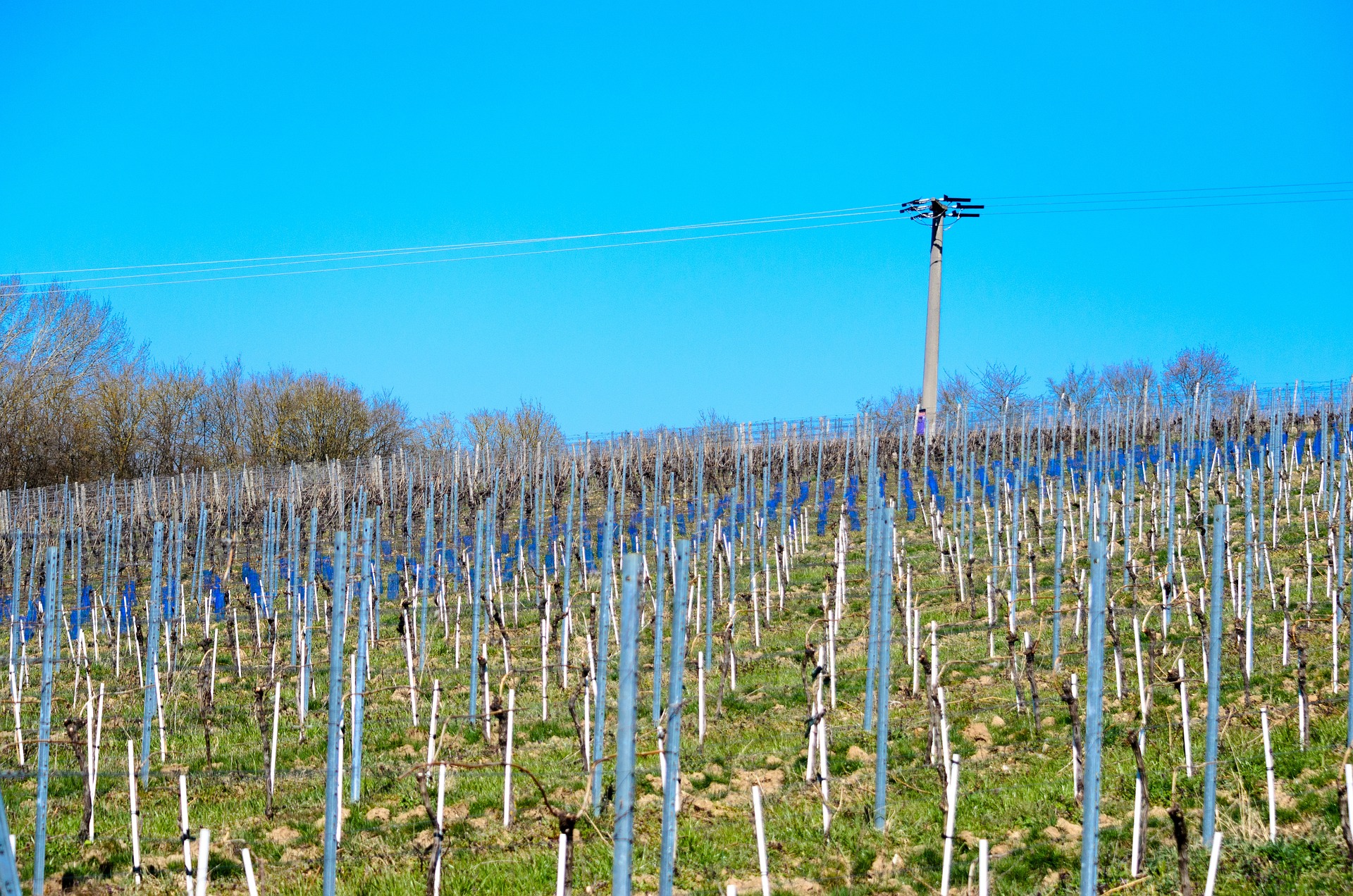 Enedis&nbsp;: Accompagner les territoires agricoles