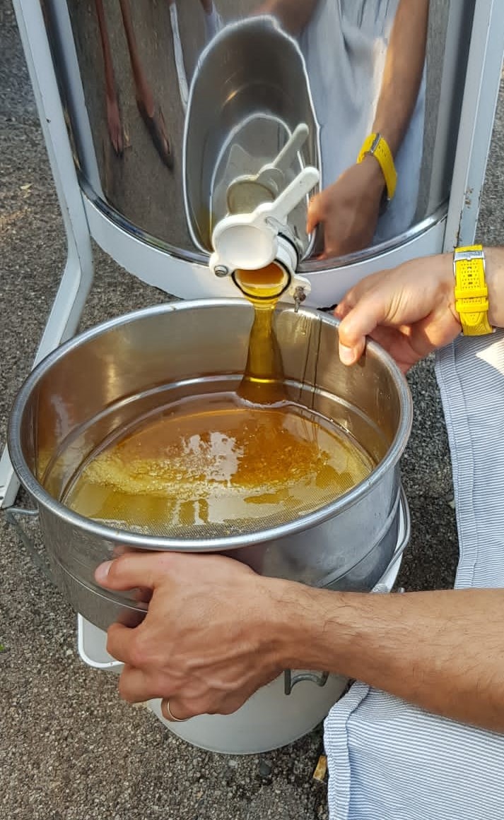 UE&nbsp;: De nouvelles règles pour l’étiquetage du miel