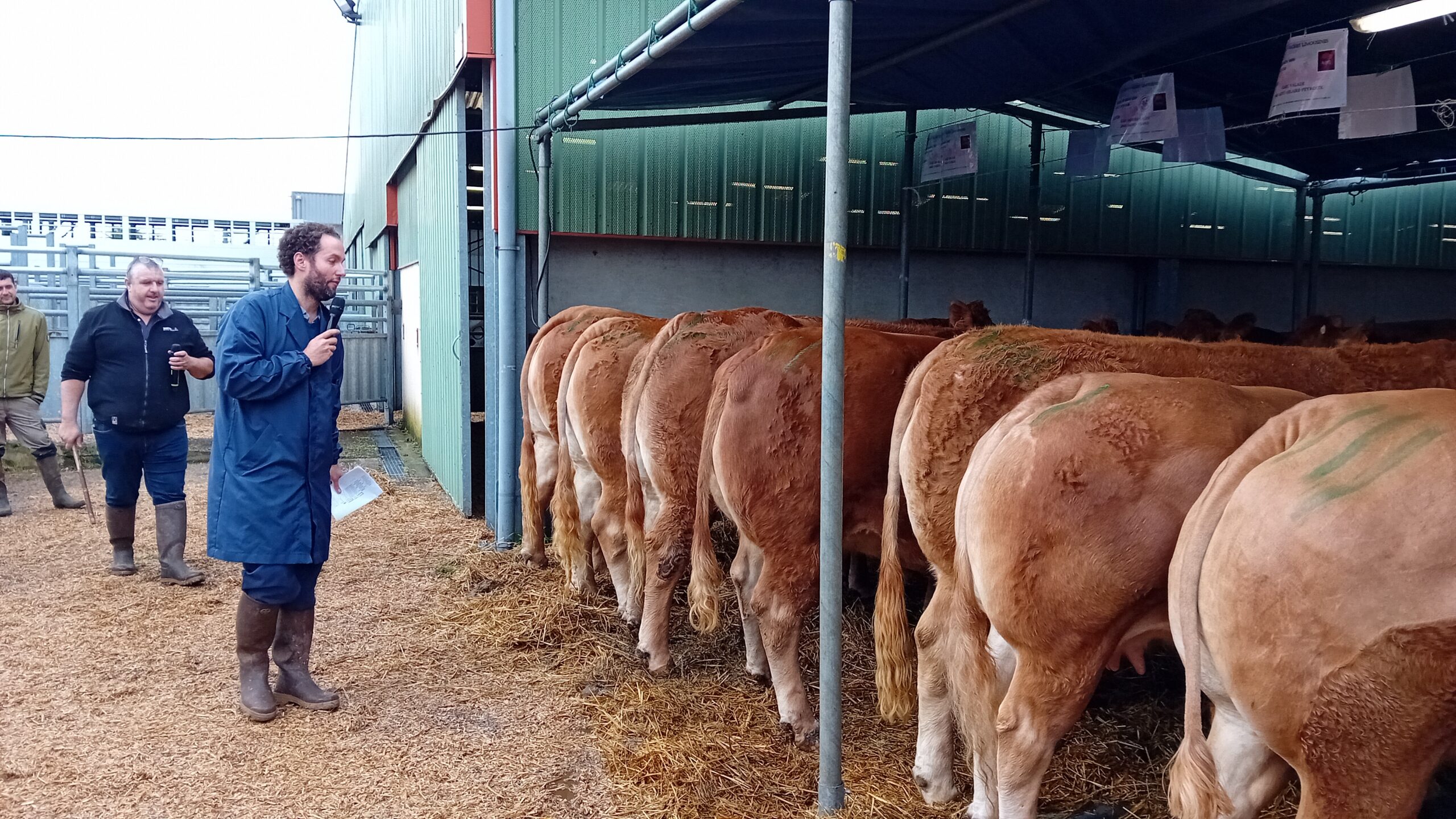 Vente aux enchères Animaux de boucherie CAPEL&nbsp;: Moment de convivialité entre les acteurs de la filière