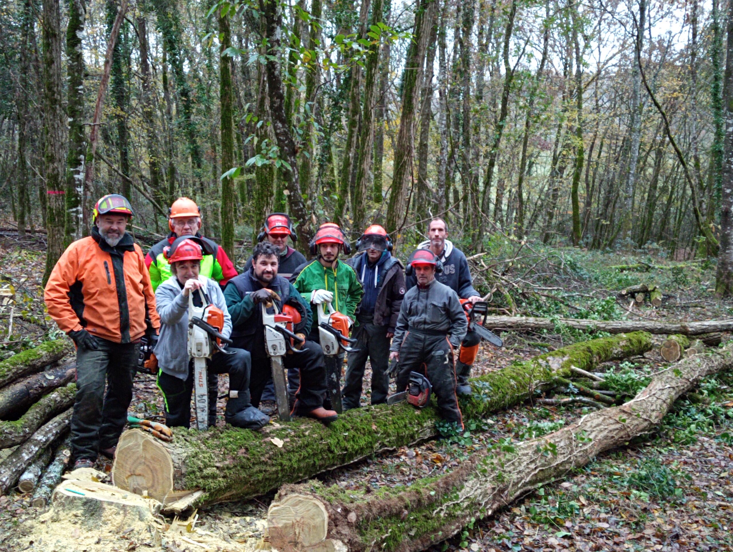 Formation bûcheronnage&nbsp;: Prévention et maîtrise des gestes