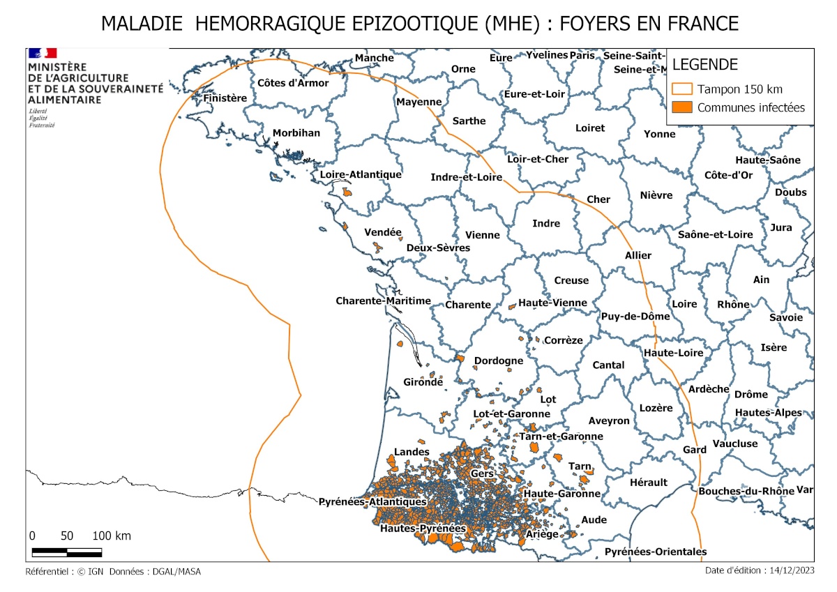 Situation au 15 décembre 2023&nbsp;: Aperçu des foyers de MHE et de FCO