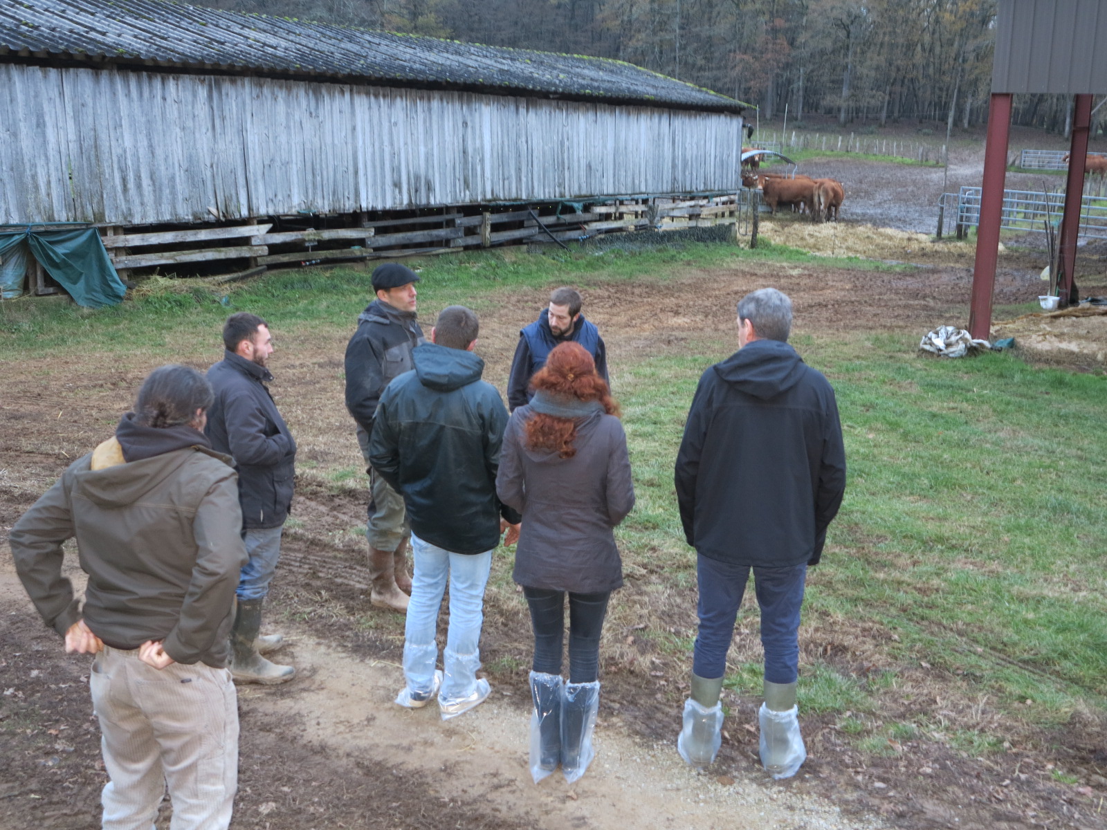 Convertir son élevage en bio&nbsp;: Les éleveurs découvrent les clés de la réussite