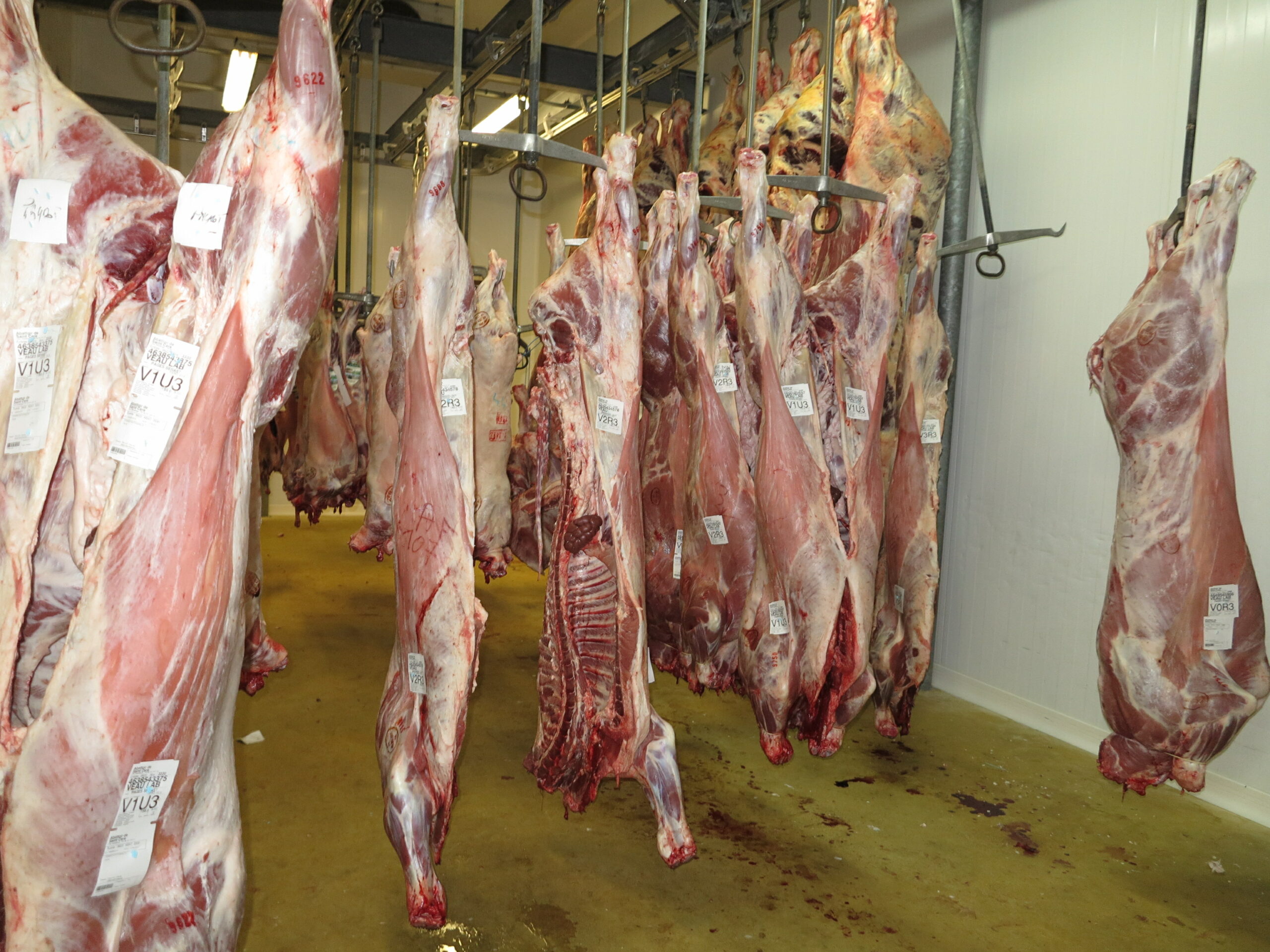 Interbev&nbsp;: Les règles applicables en cas de saisie(s) partielle(s)